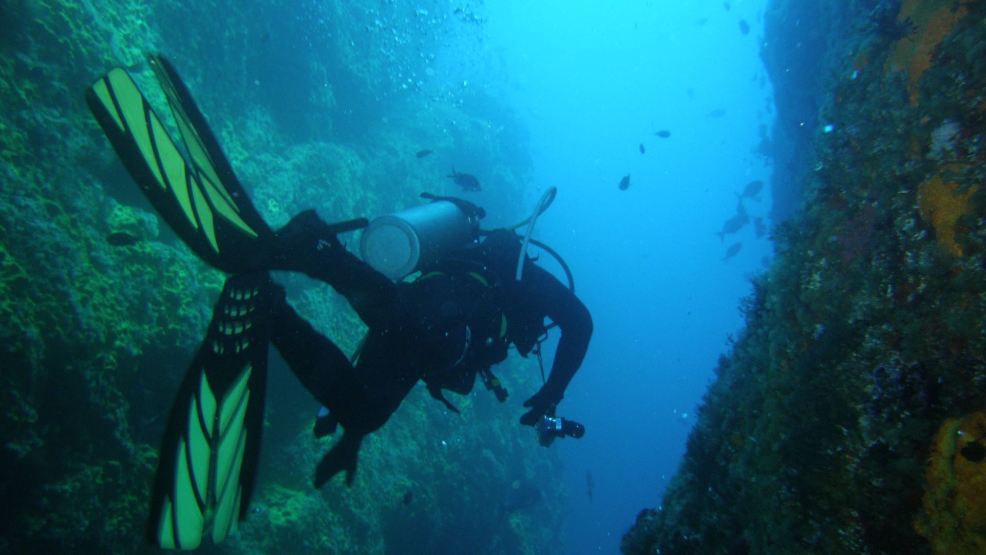 File:Diver at the Northern Arch, Poor Knights Islands.jpg