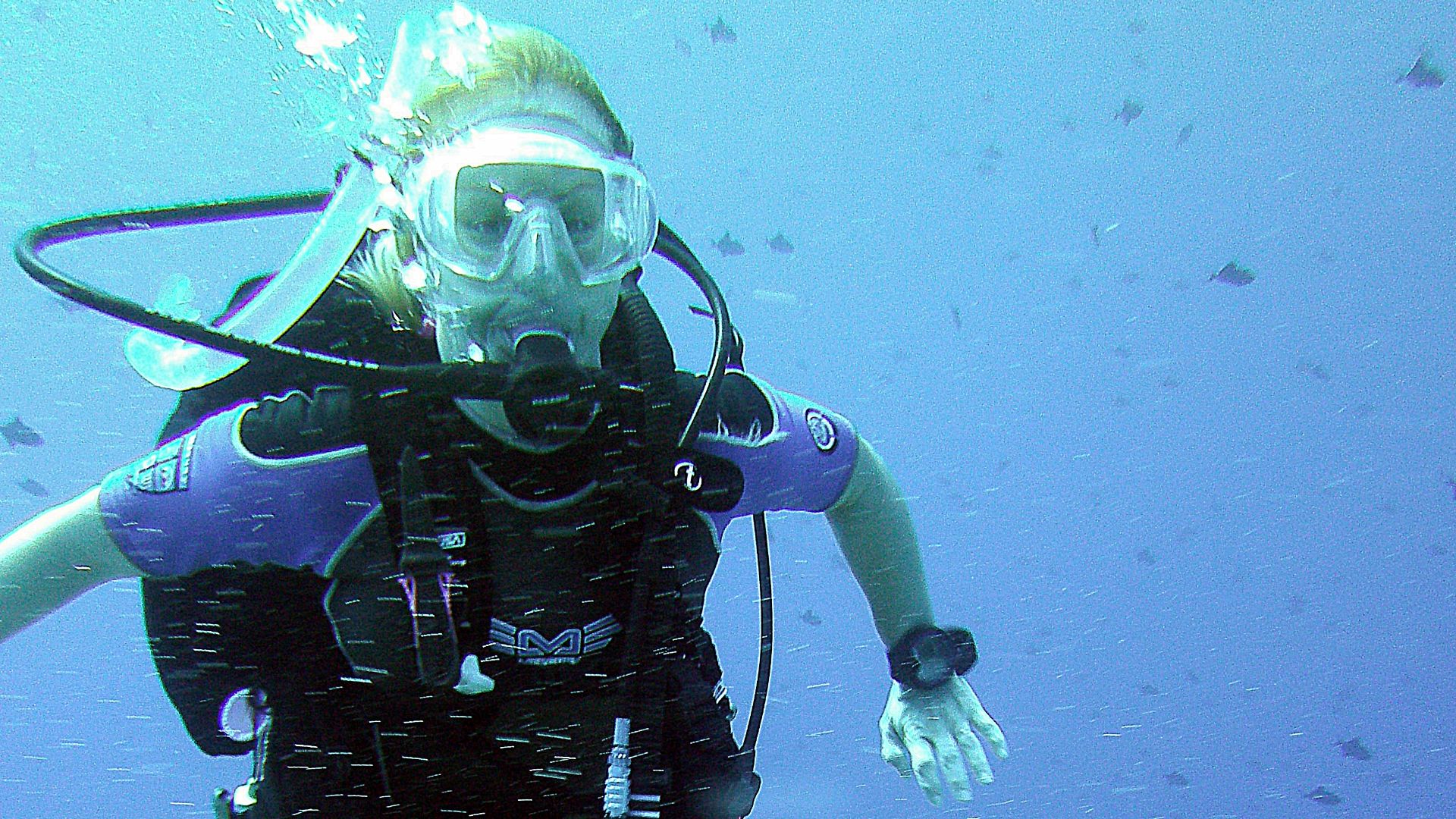File:Hooked into Reef Blue Corner Palau (12672982125).jpg