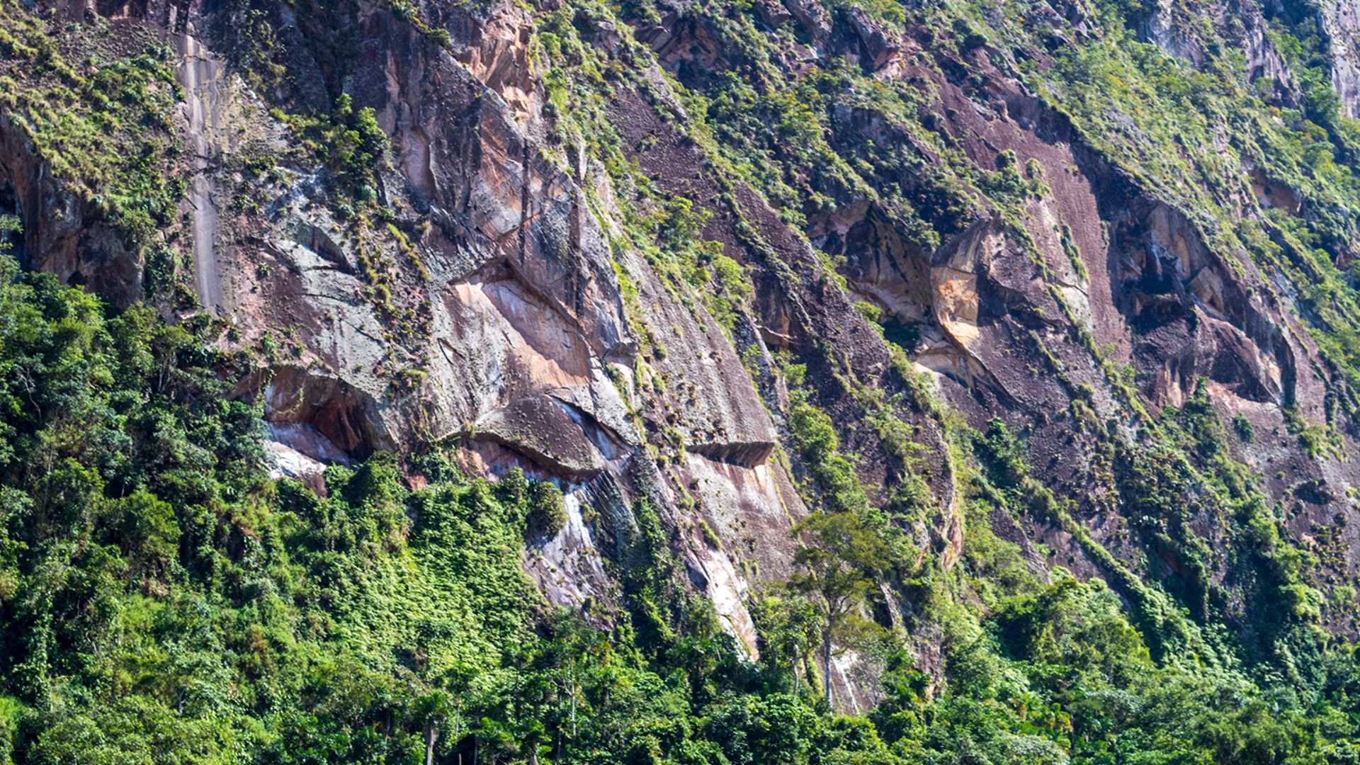 File:Parque Nacional Madidi - La Paz - Bolivi 4.png