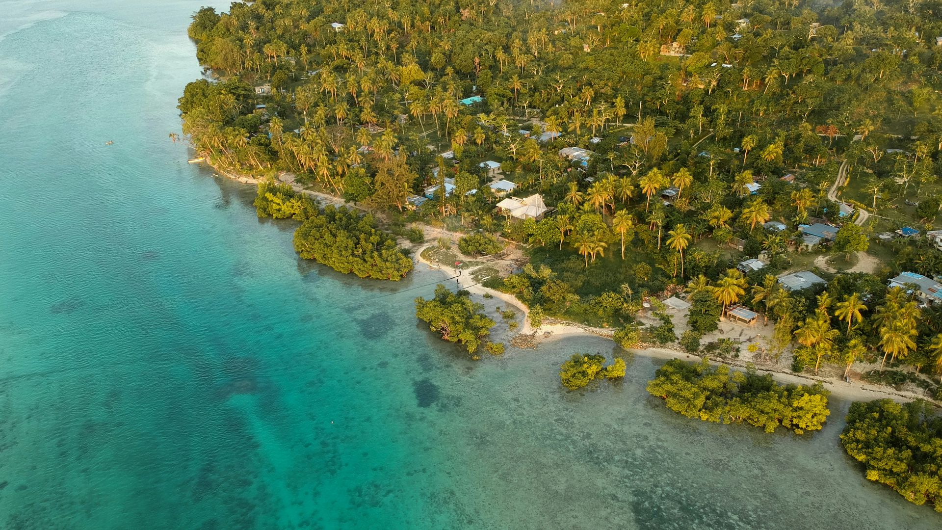 aerial view of green trees and body of water during daytime