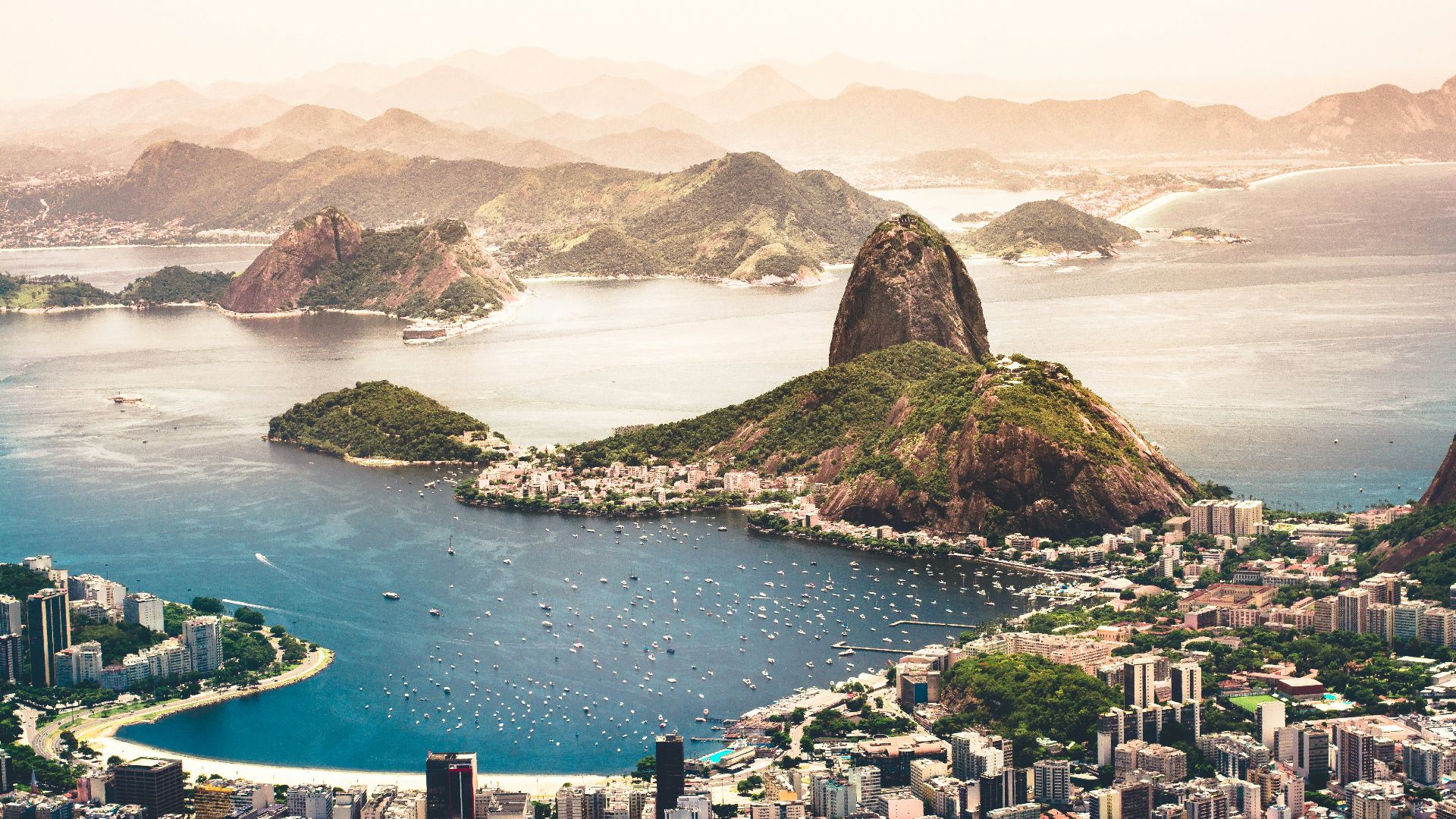 aerial photography of cityscape near sea