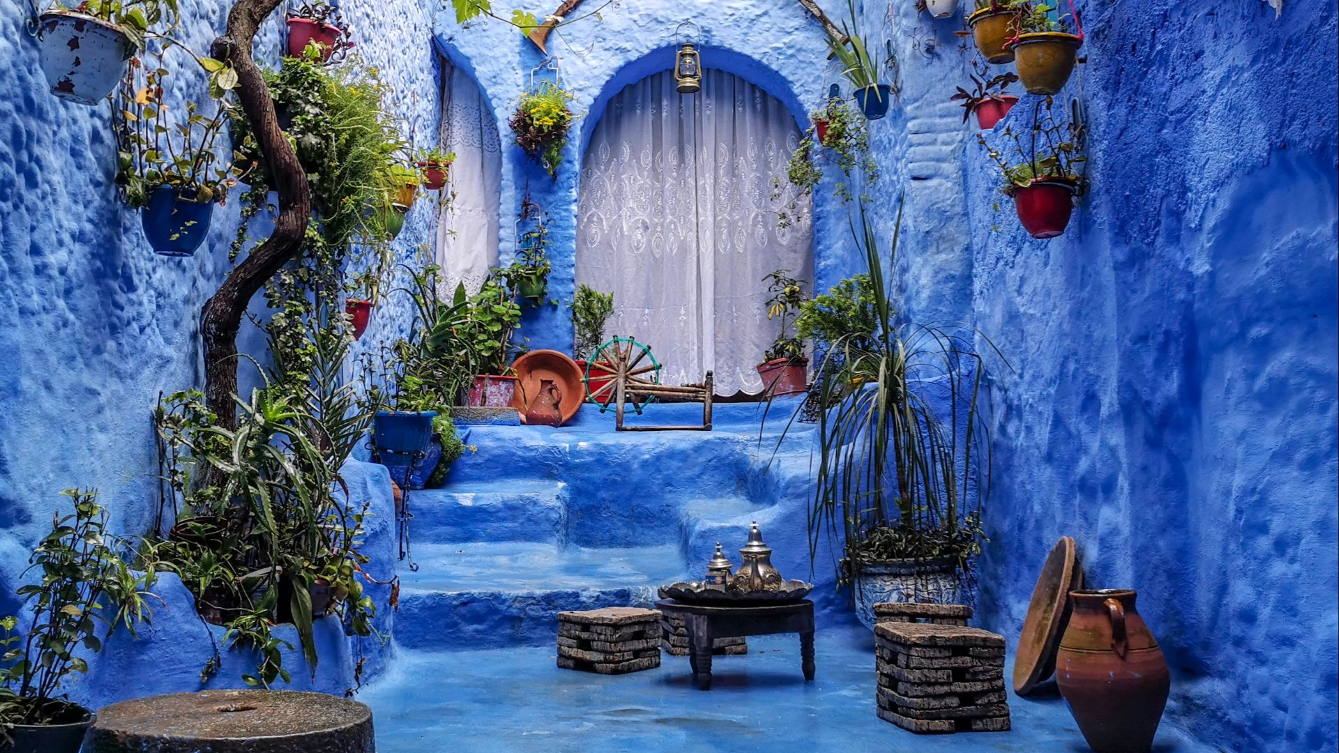a blue alley with potted plants and a bench