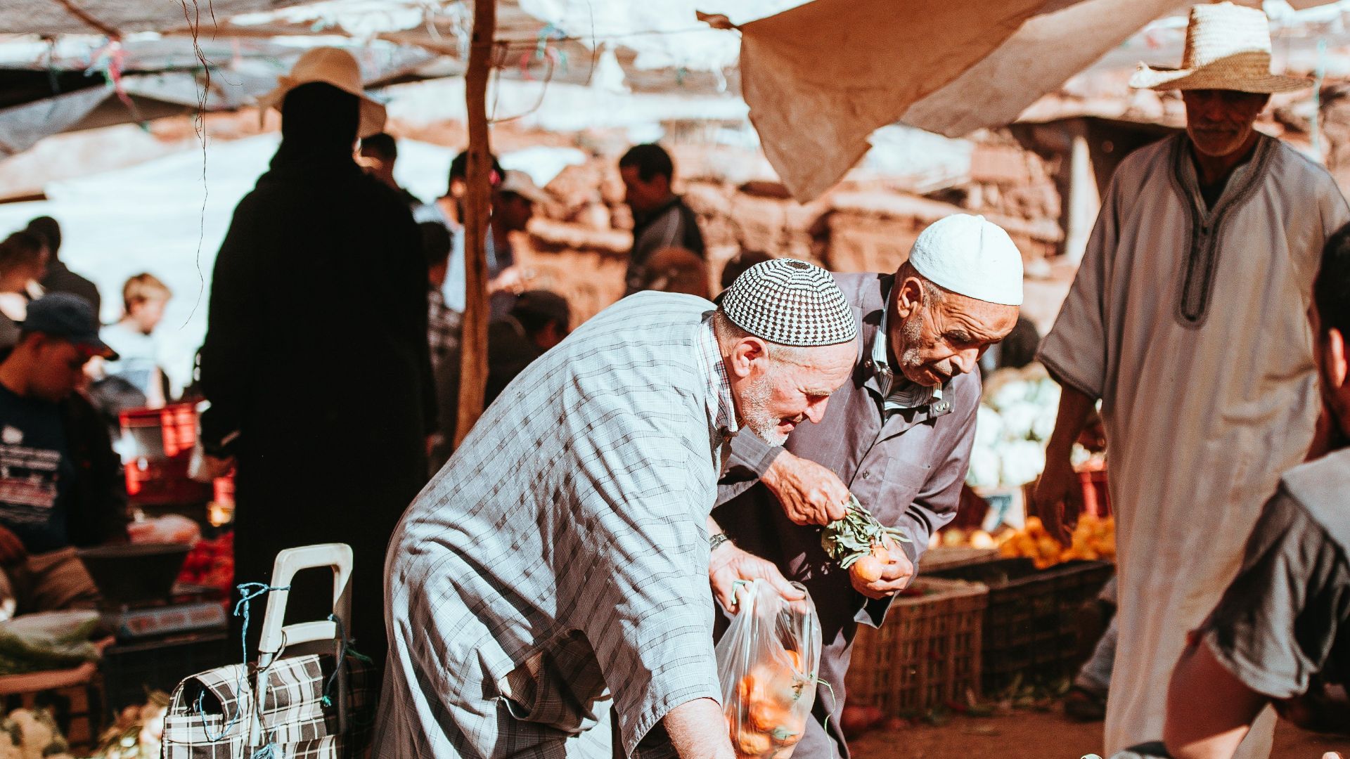 man picking fruits on stand under white sky during daytime
