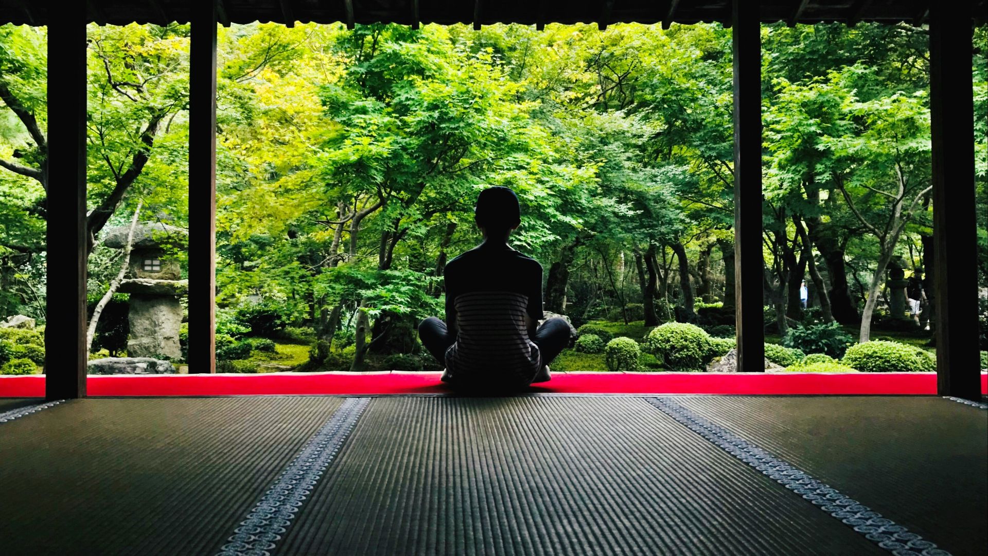 person sitting on floor facing at trees during daytime