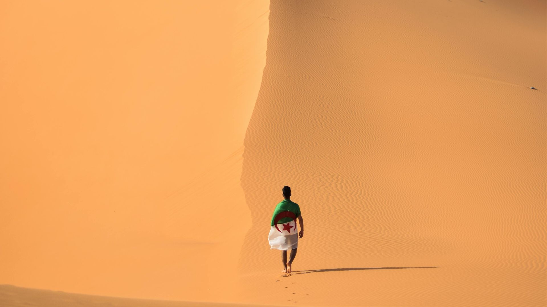 Mohamed elamine  M'siouri