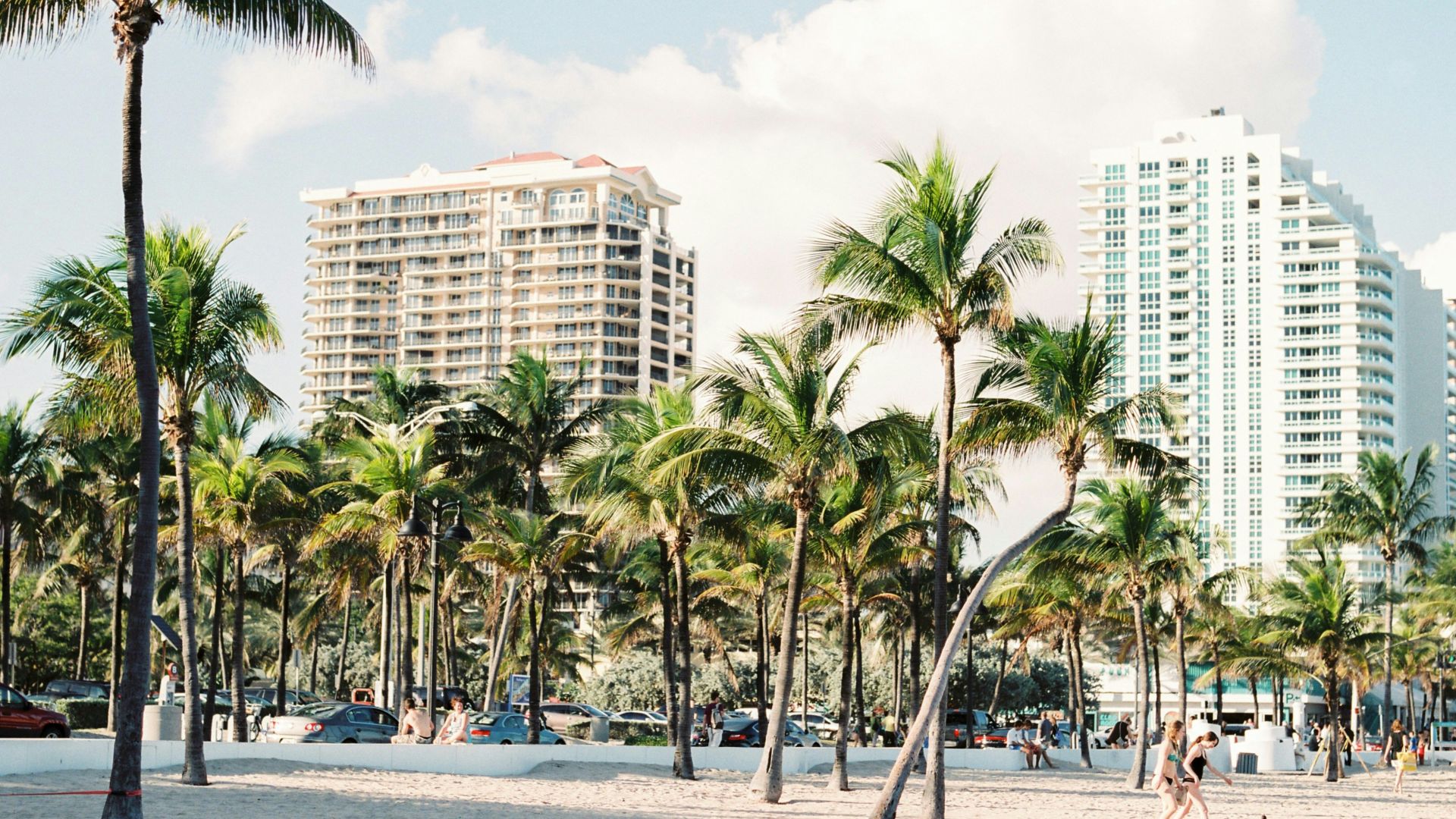 palm trees near buildings