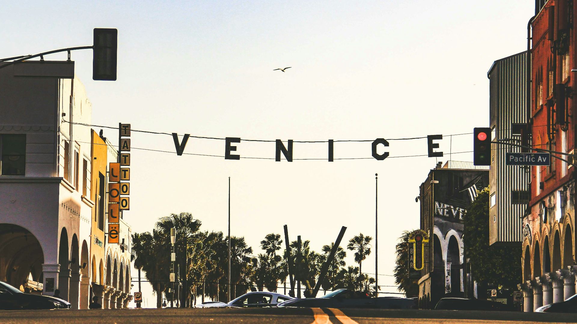 vehicle on concrete road during daytime