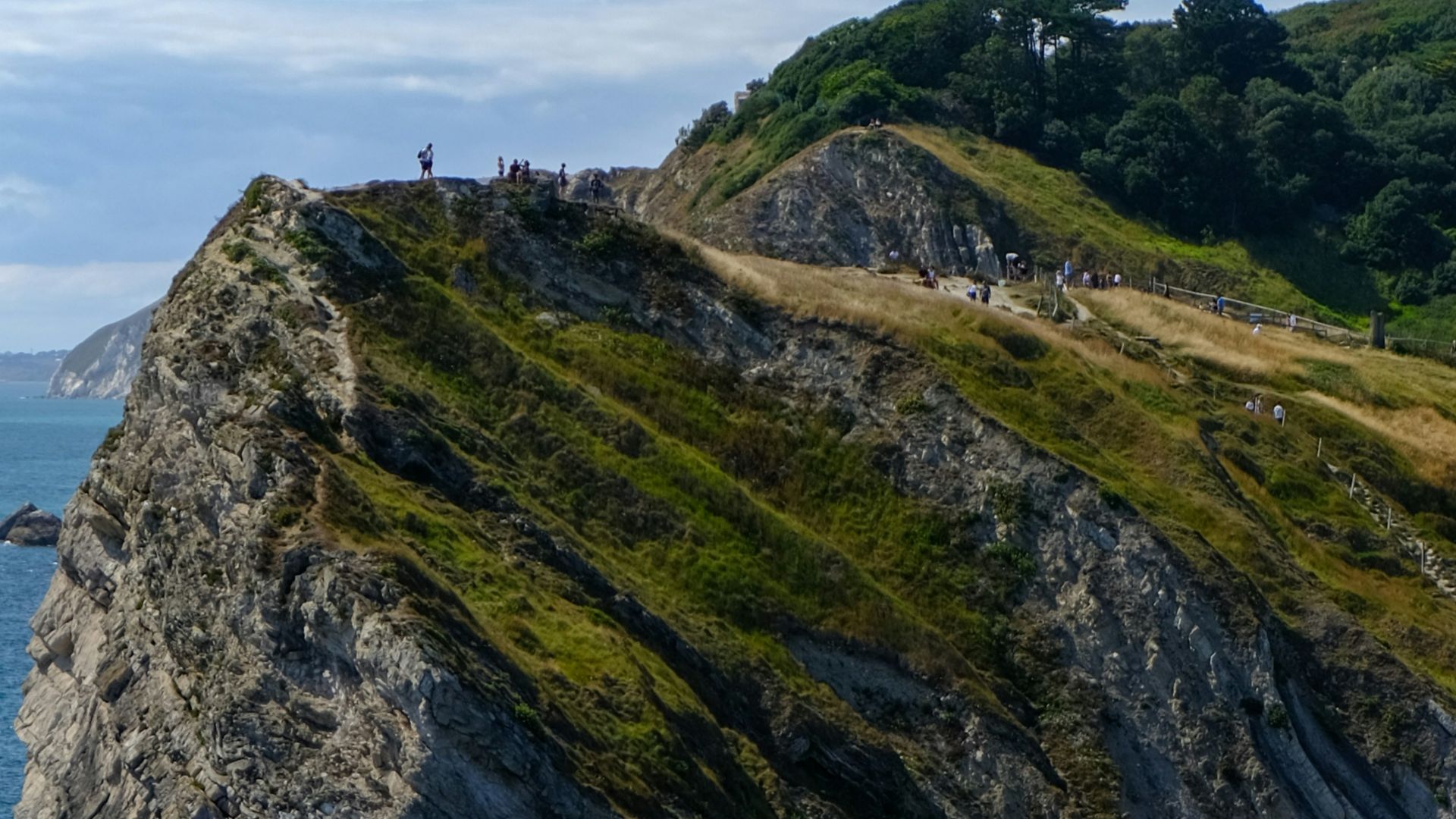 bird flying over the green and brown mountain during daytime
