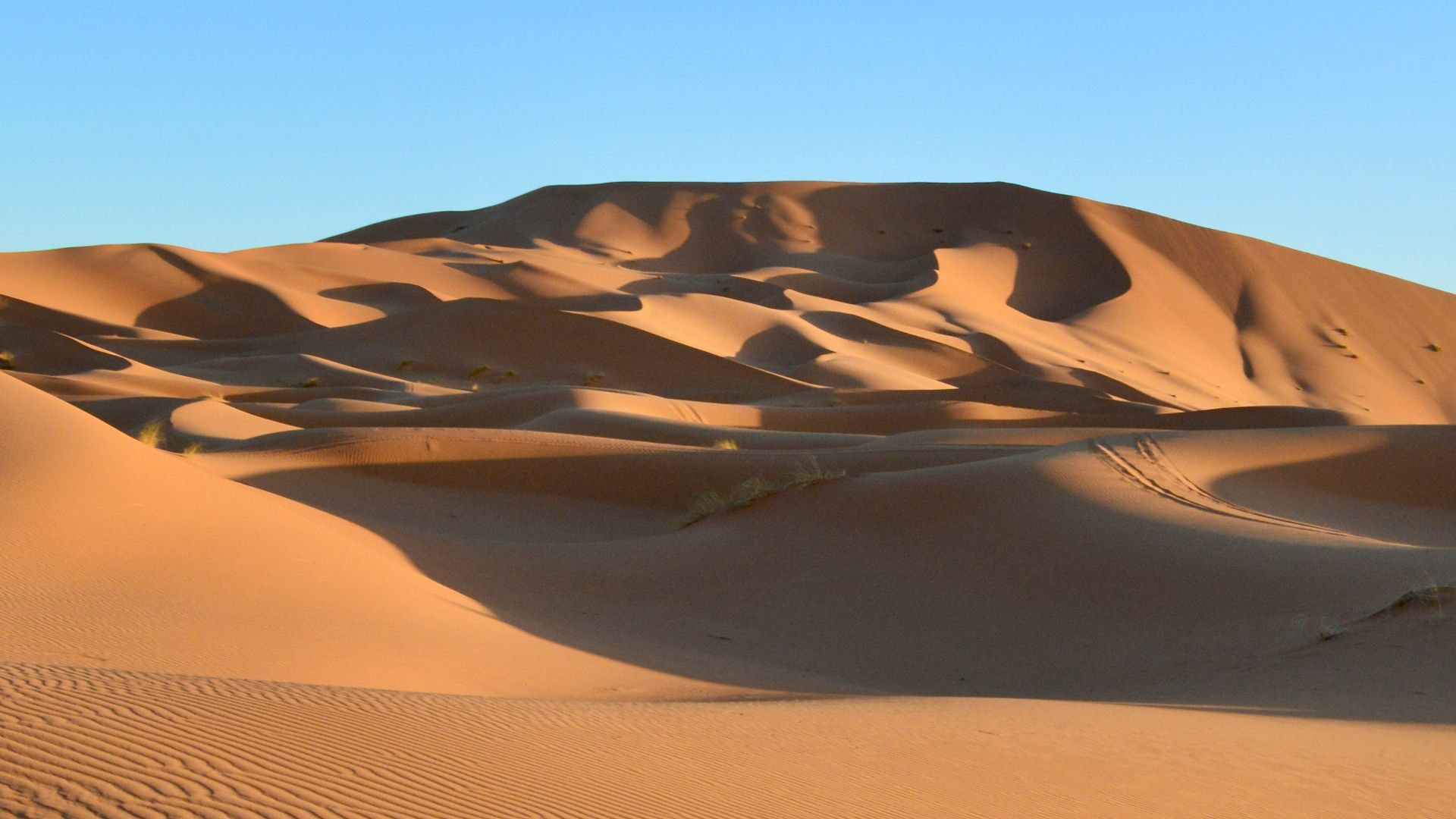 brown sand dunes under blue sky during daytime
