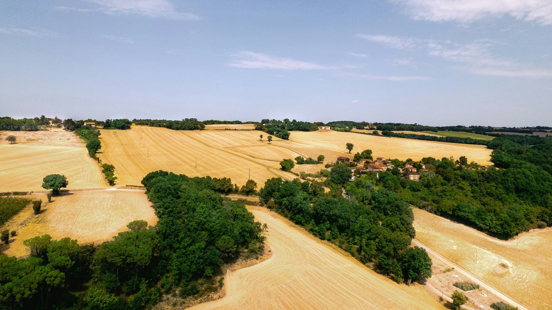 a landscape with trees and fields