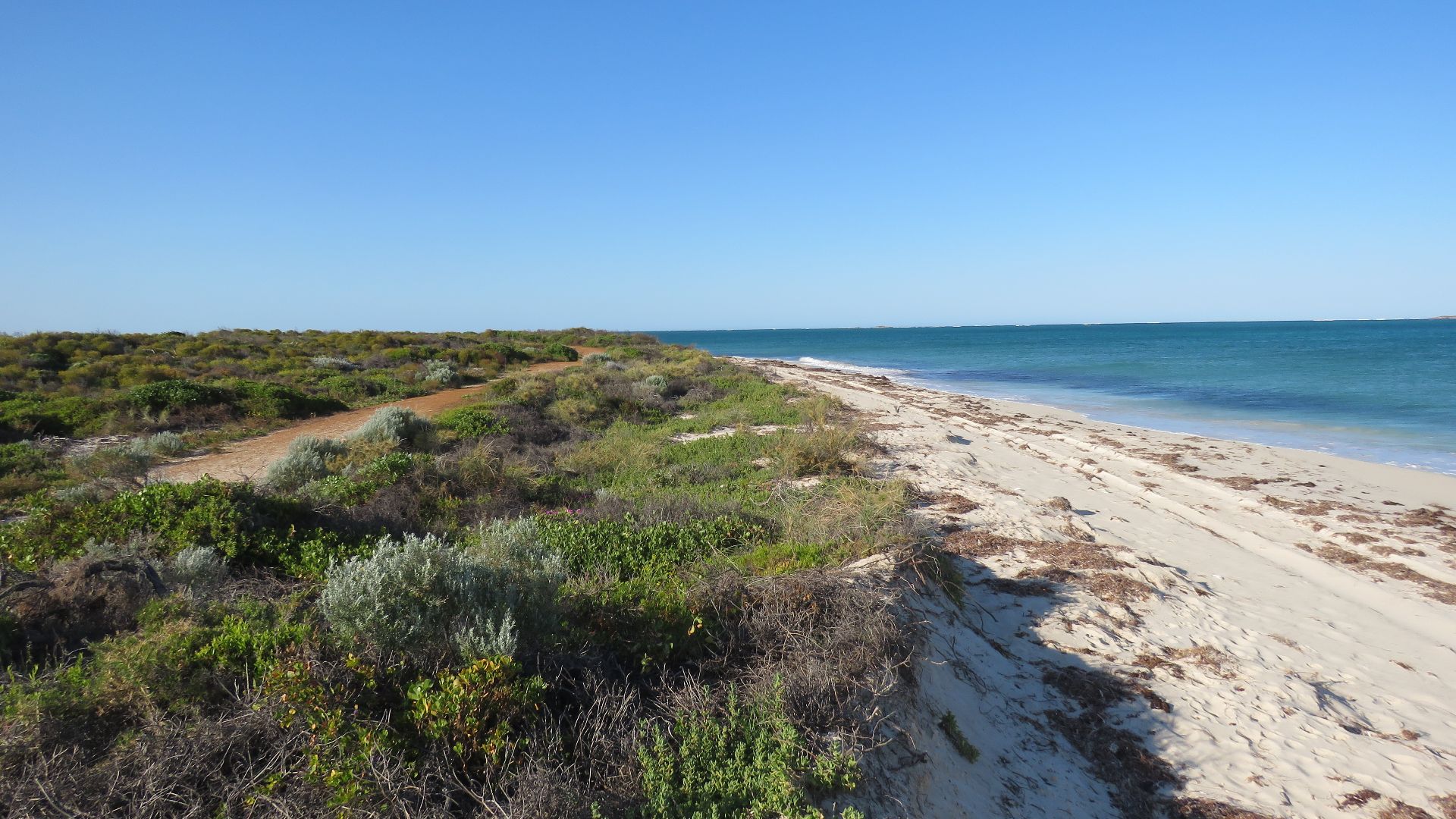File:Beach south of Jurien Bay, Western Australia, September 2023 01.jpg