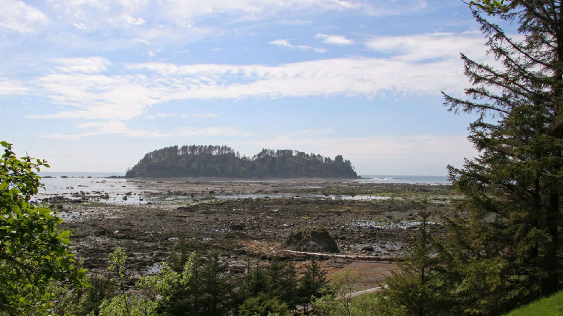File:Cape Alava Ozette Island.jpg