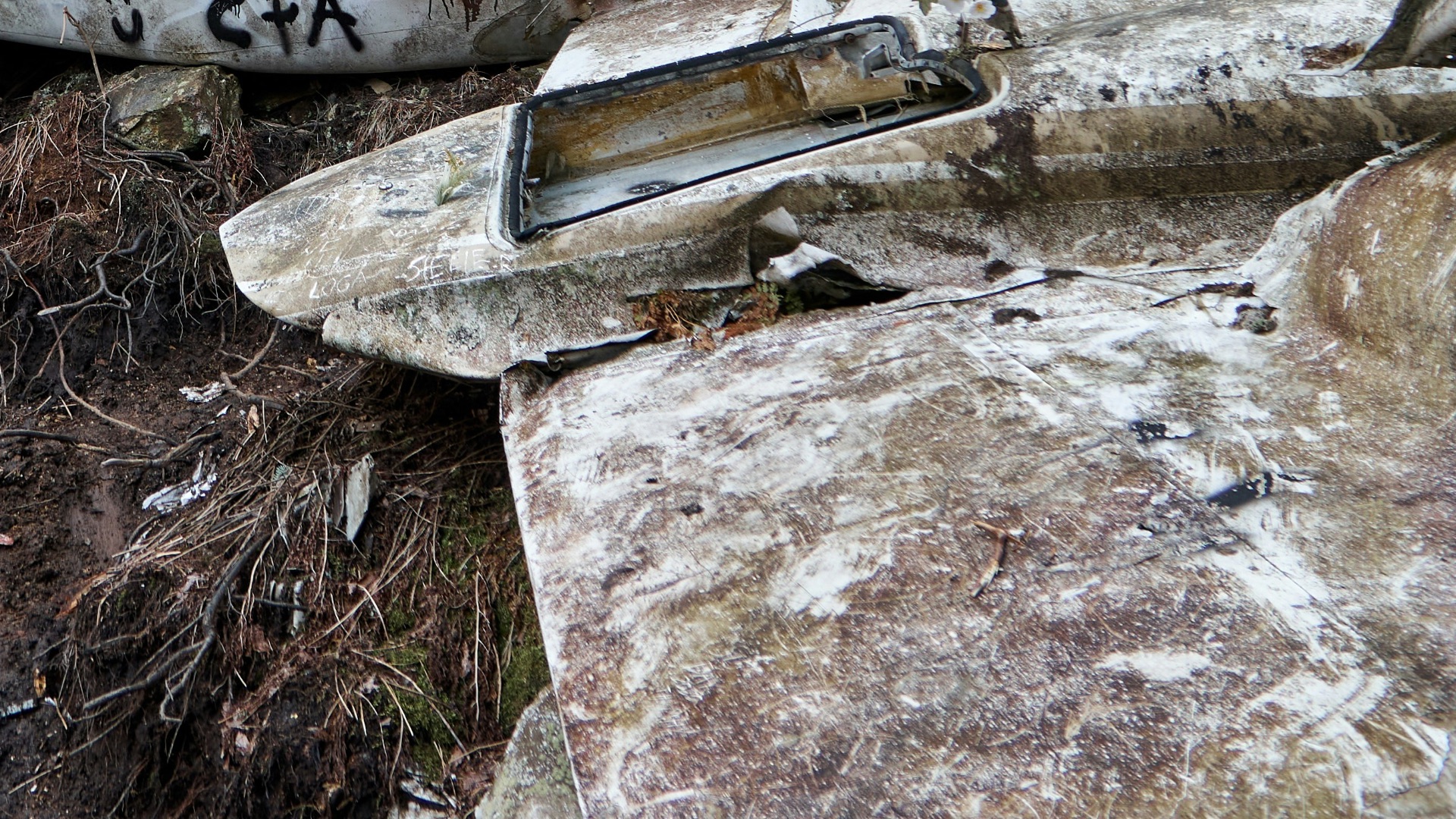 Crashed airplane wreckage in a forest setting.