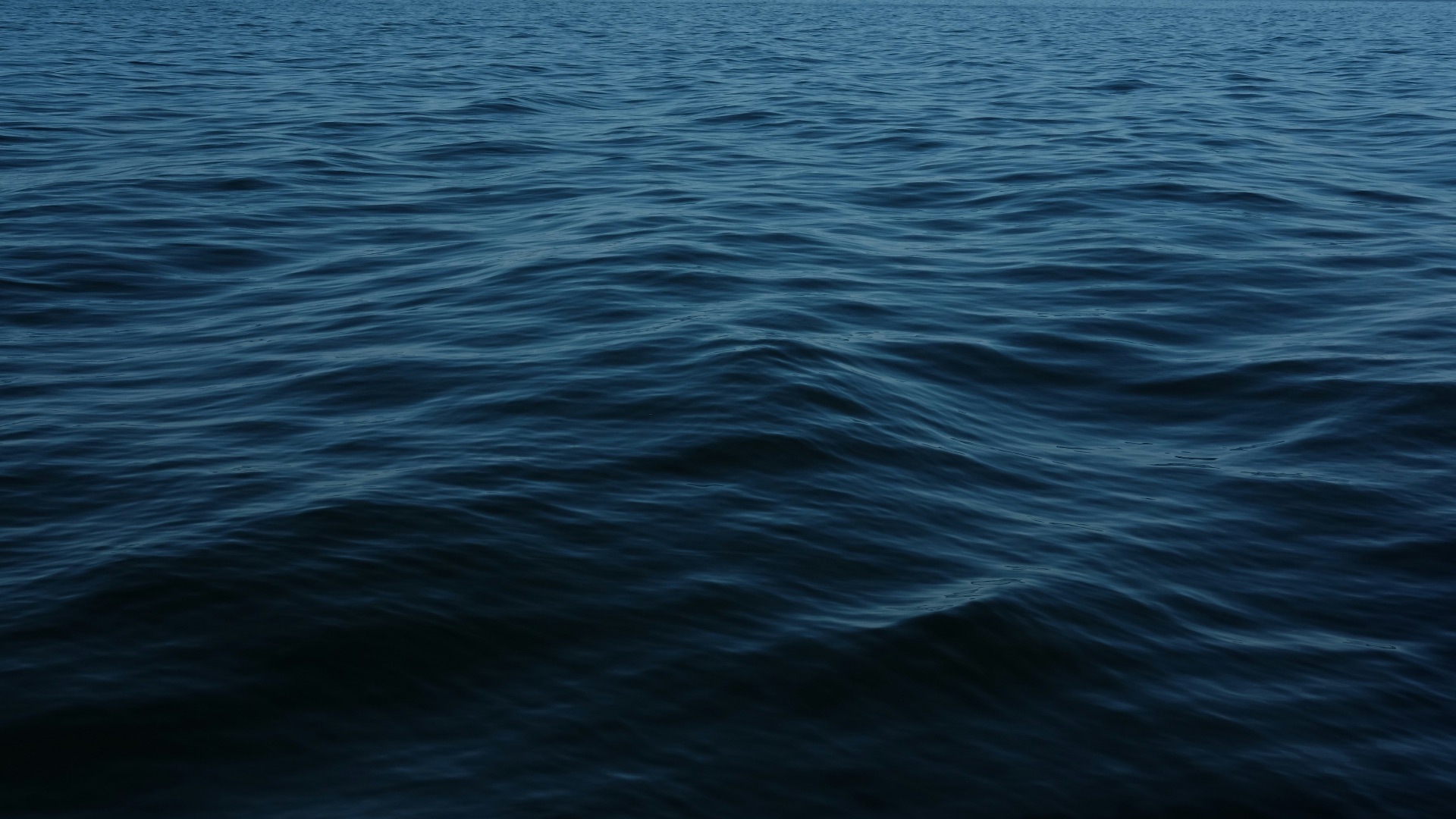 body of water during daytime