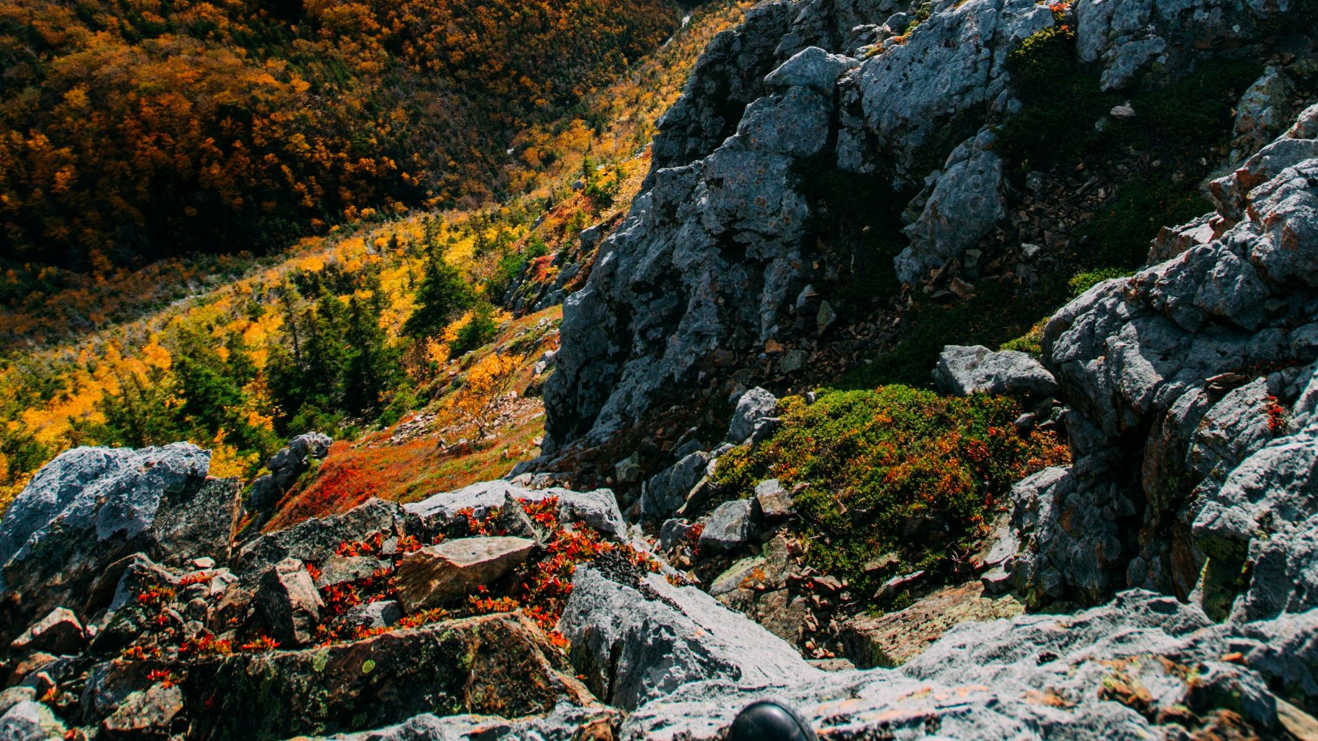 aerial view photography of mountain at daytime