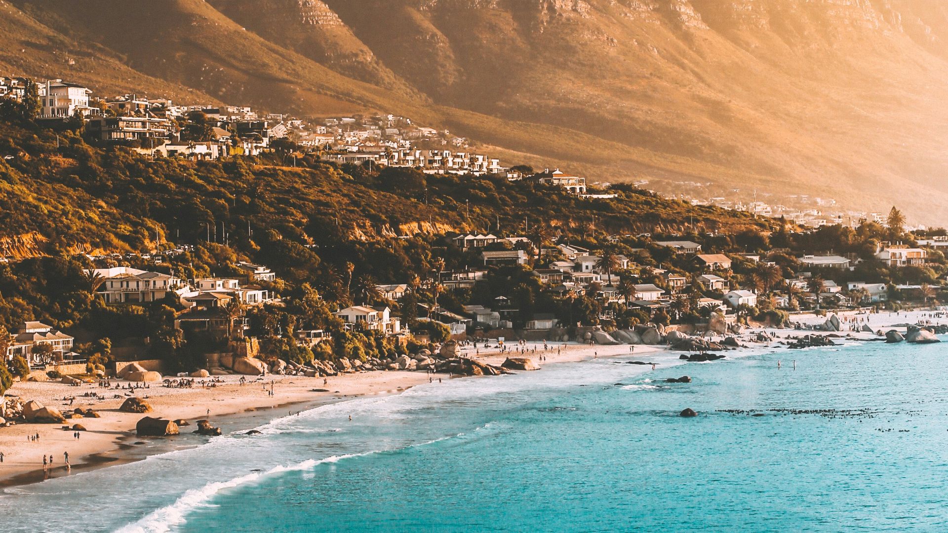 people on beach shore