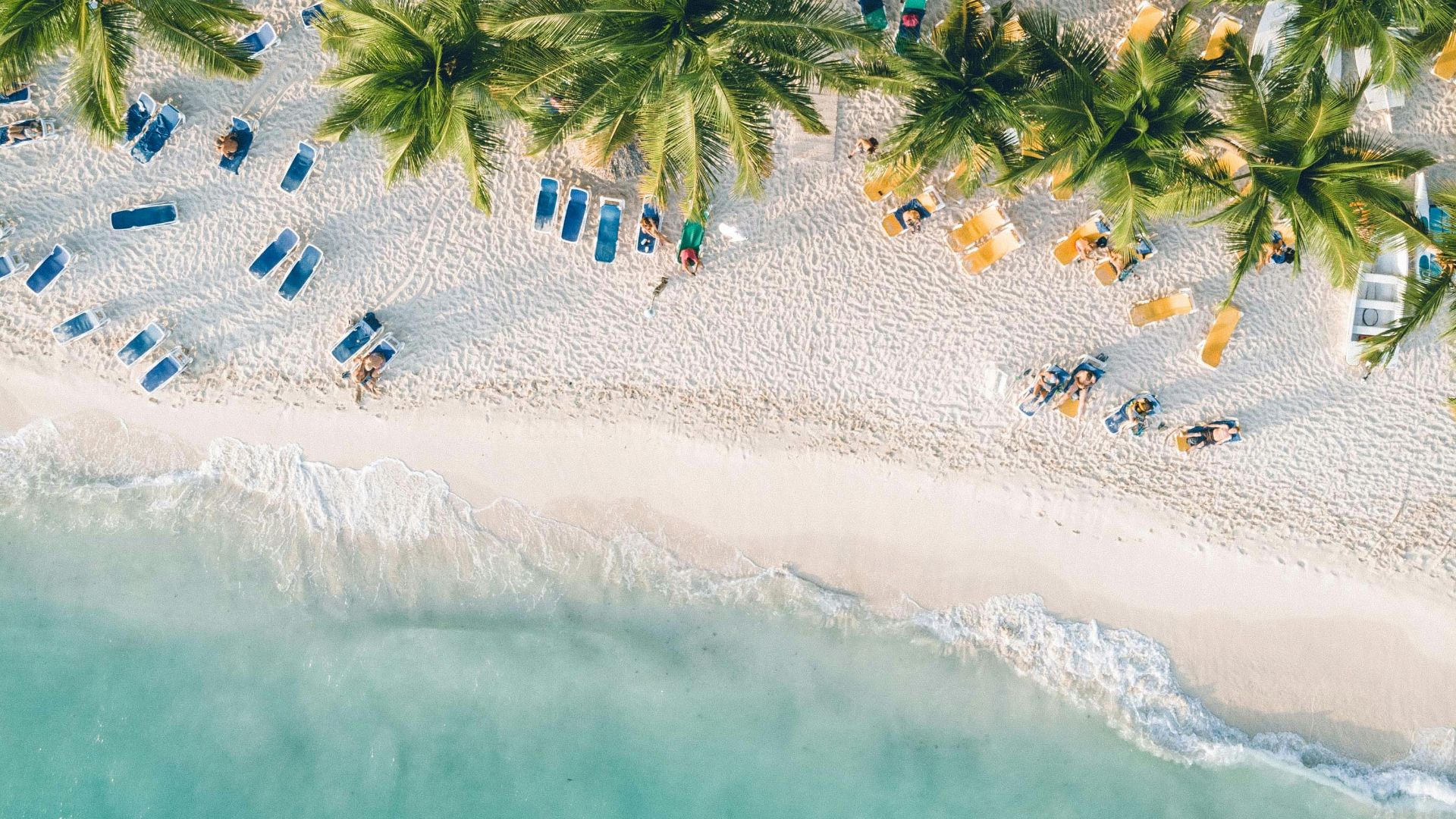 an aerial view of a beach with chairs and palm trees