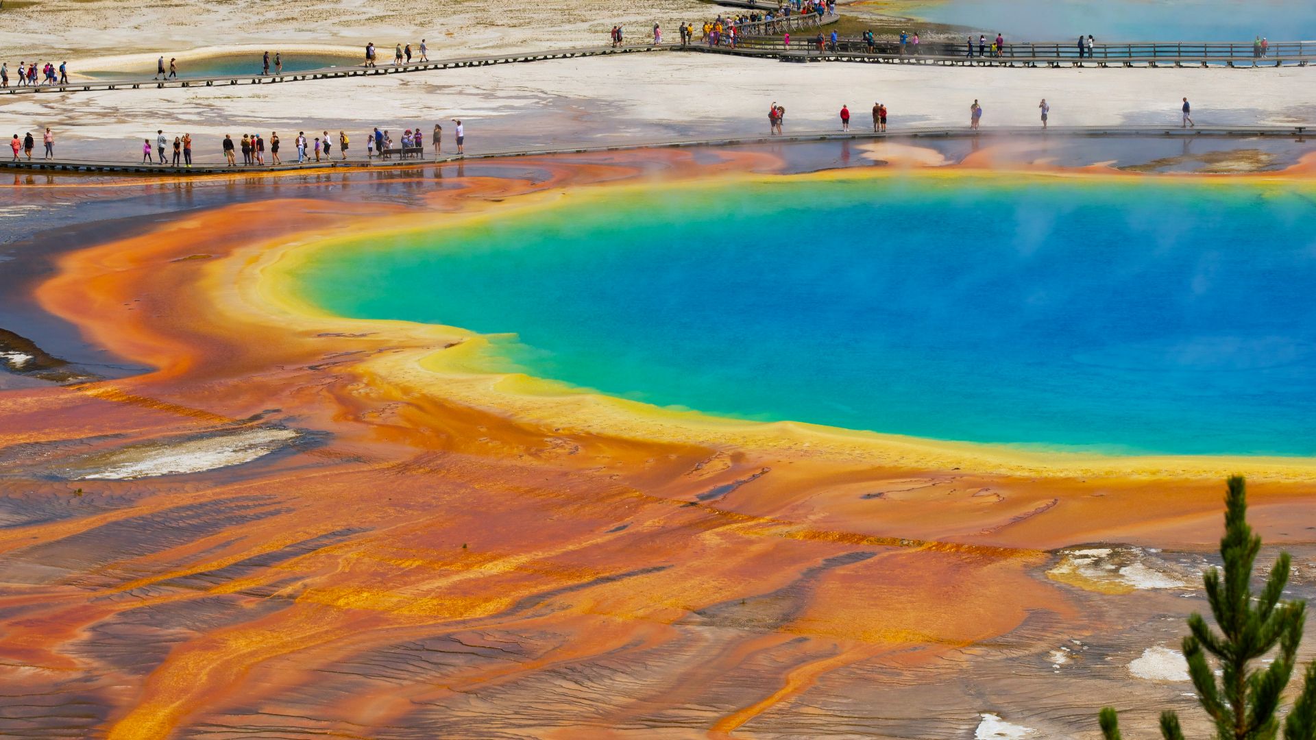 people on beach shore during daytime