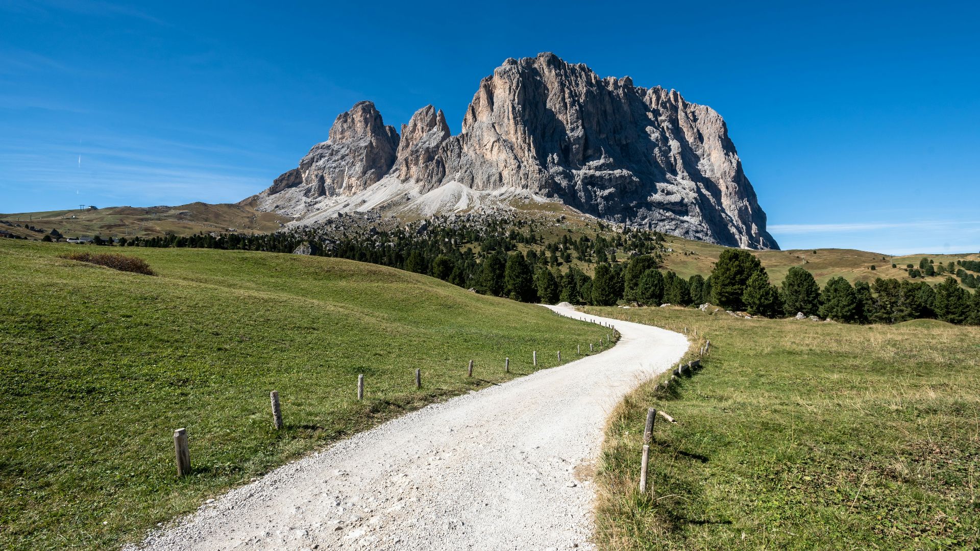 a dirt road in the middle of a grassy field
