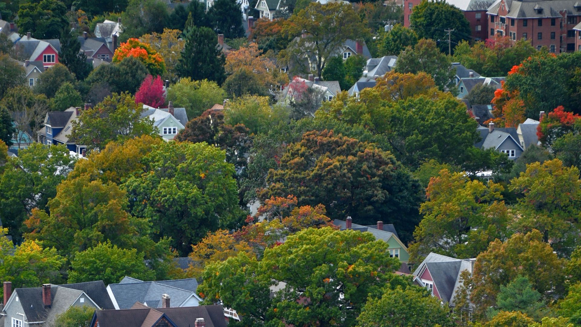 A city with lots of houses and trees