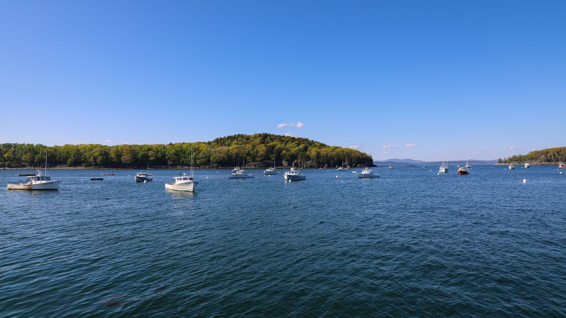 white motorboat in body of water during daytime