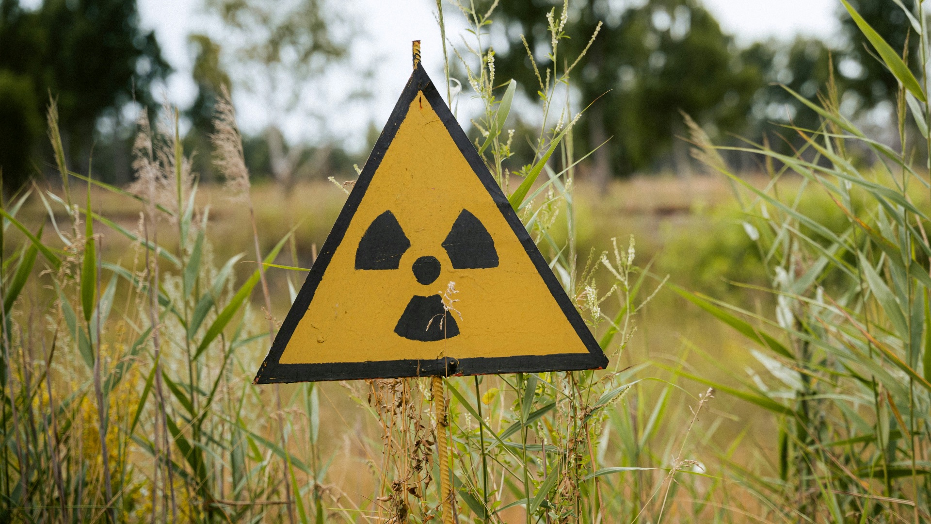 yellow and black road sign