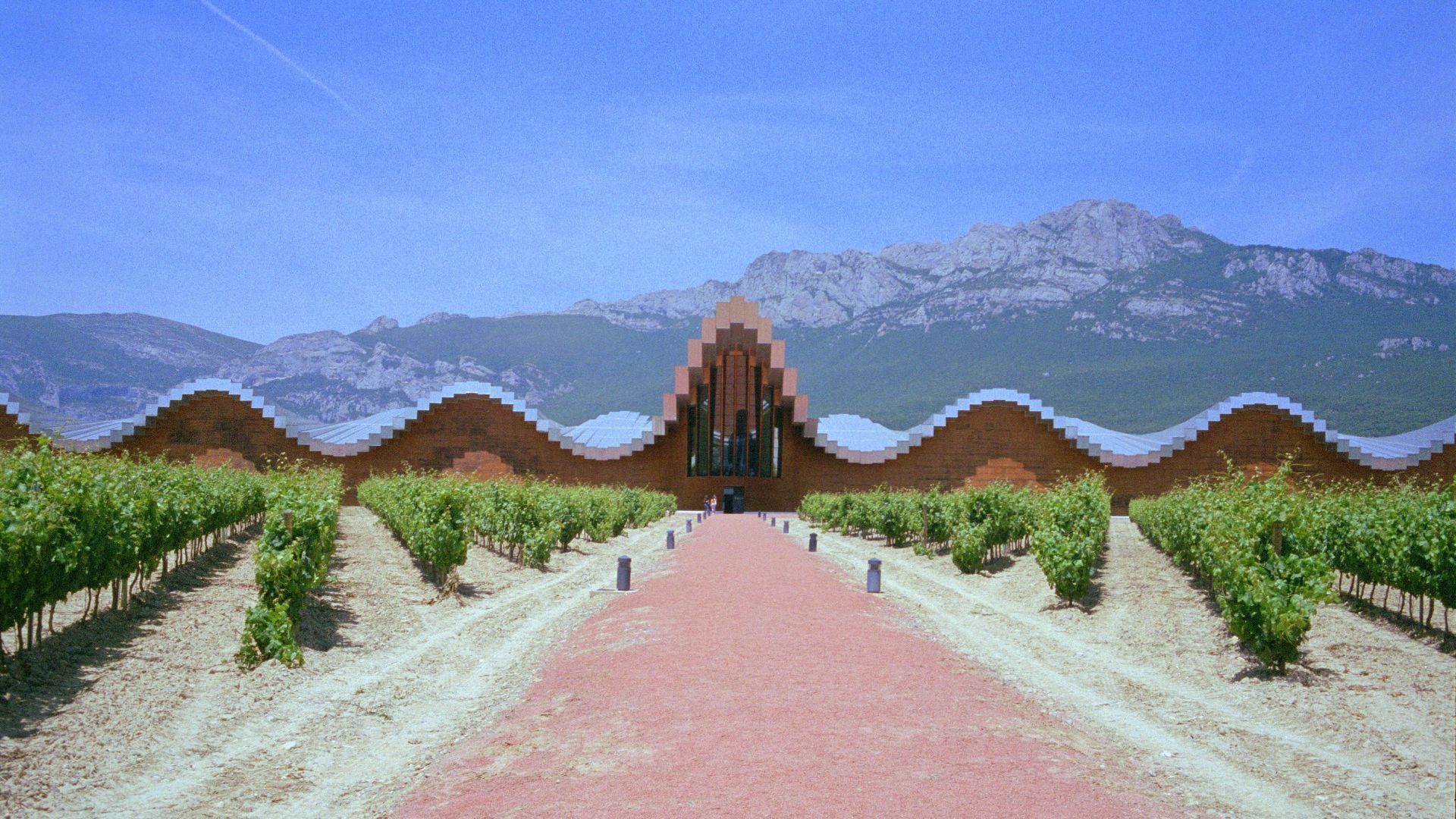 File:Vignoble des Bodegas Ysios Rioja.jpg