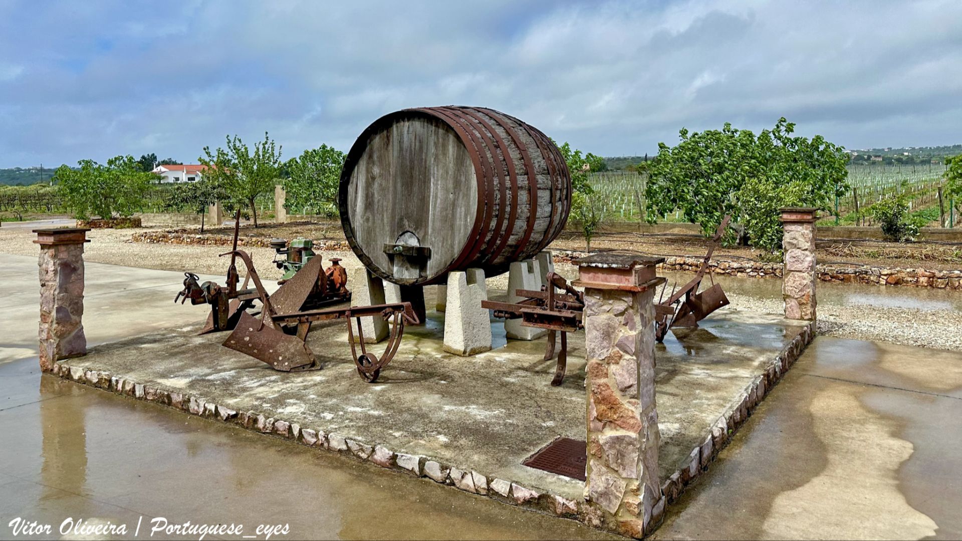 File:Cabrita Wines - Sítio da Vala - Portugal 🇵🇹 (53657558932).jpg