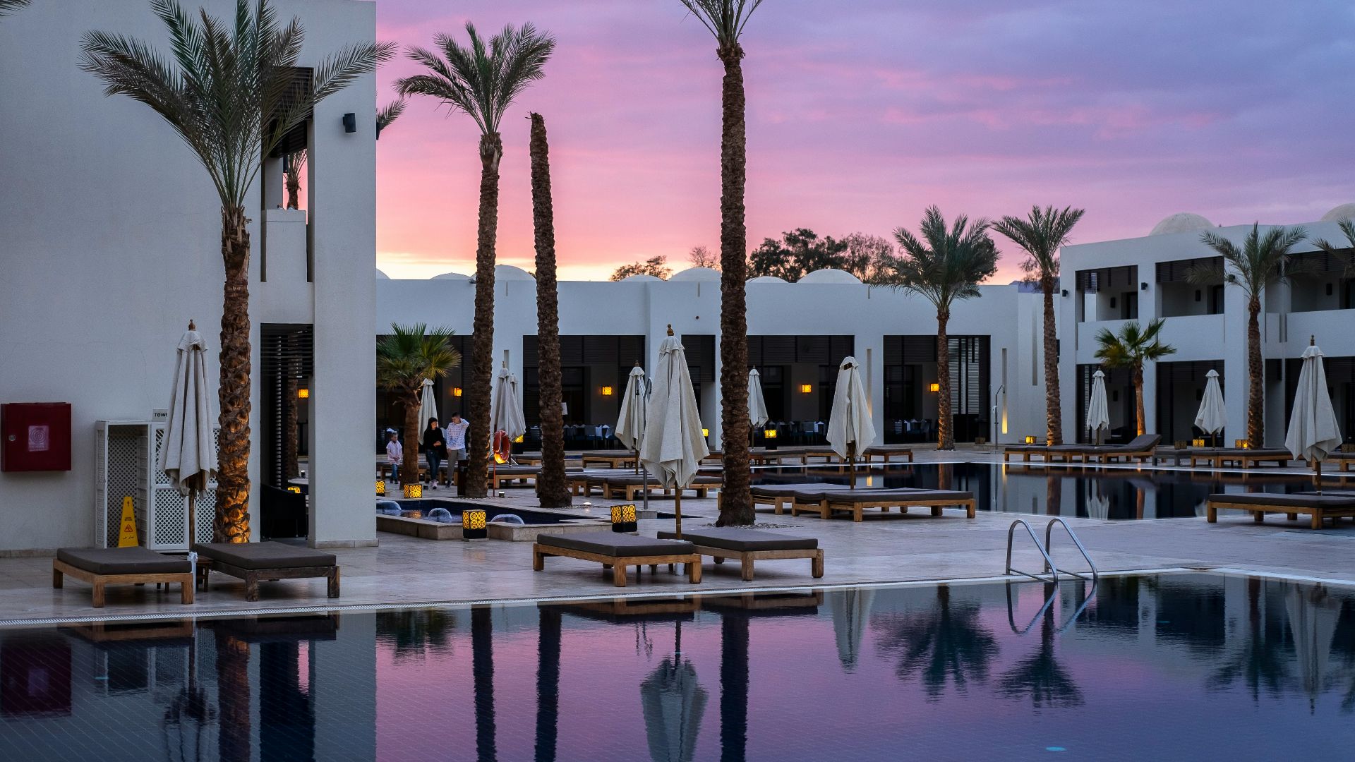a large swimming pool surrounded by palm trees