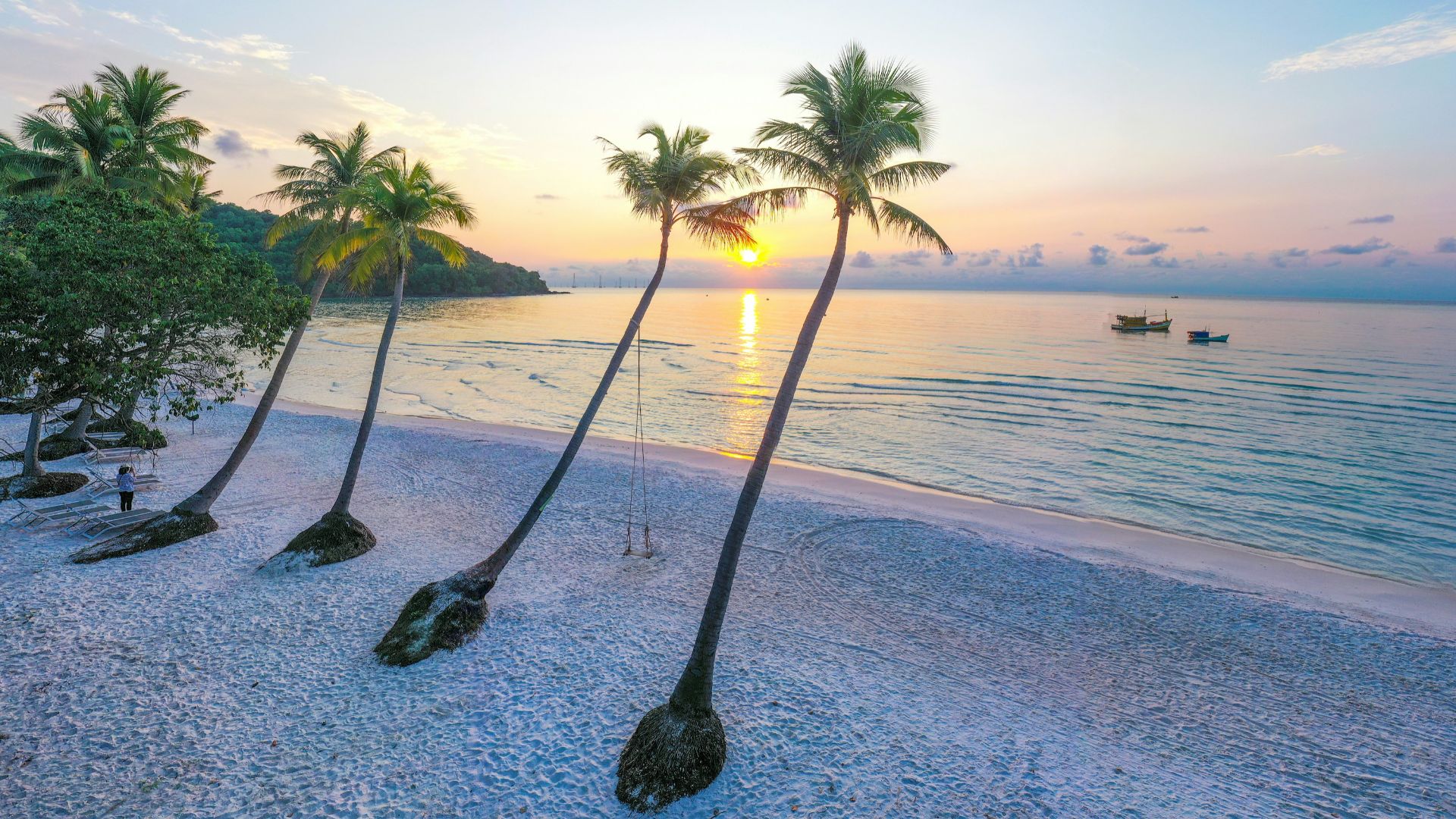 a beach with palm trees and a boat in the water
