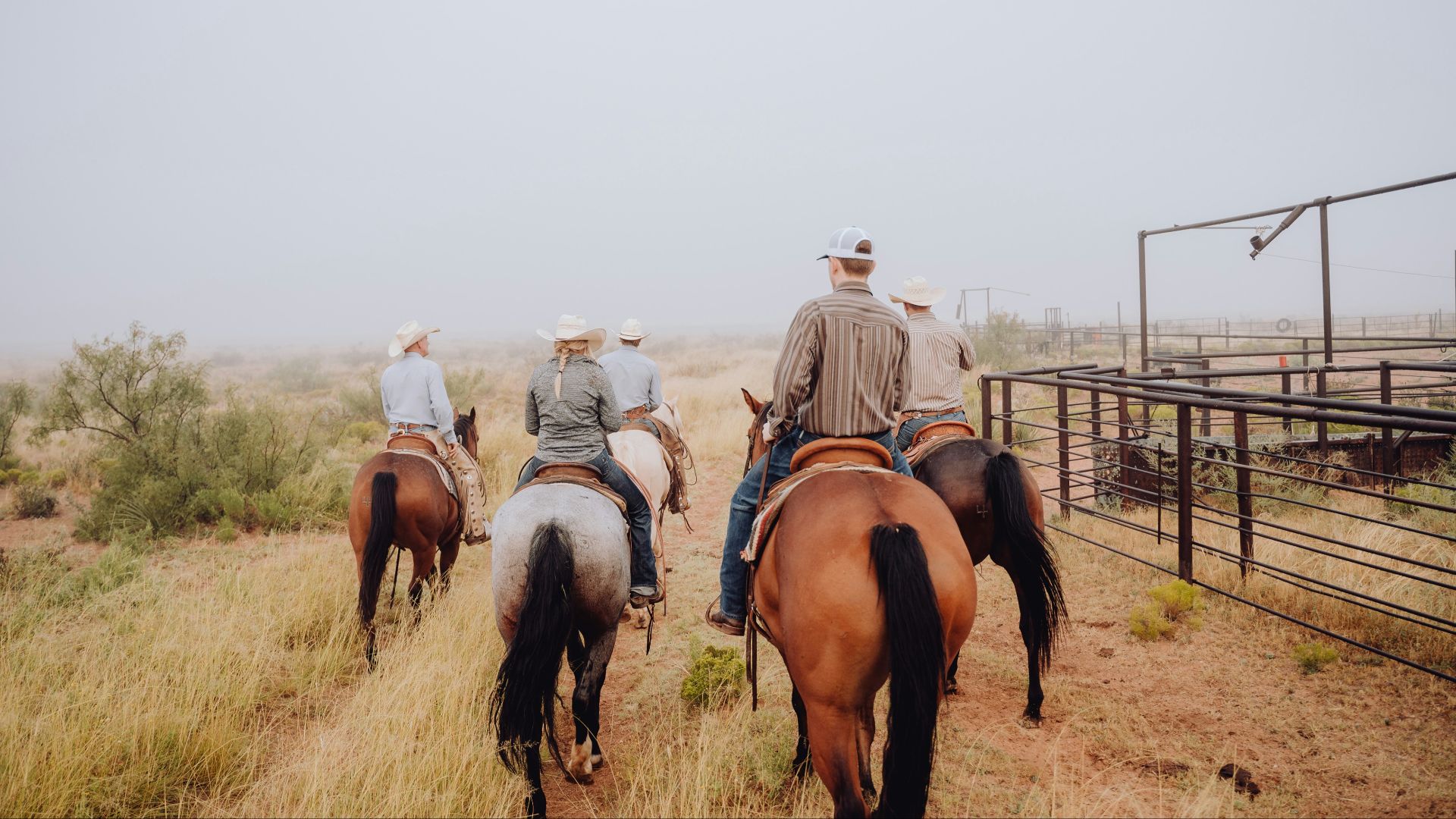 a group of people riding on the backs of horses