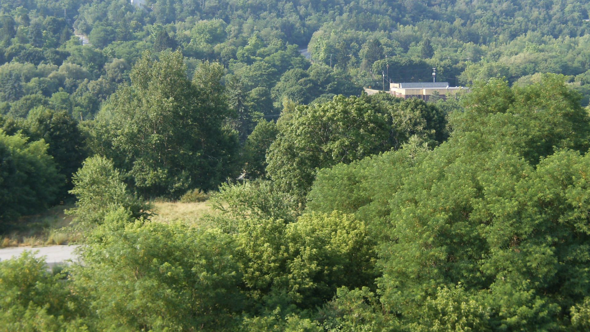 File:Centralia Skyline.jpg