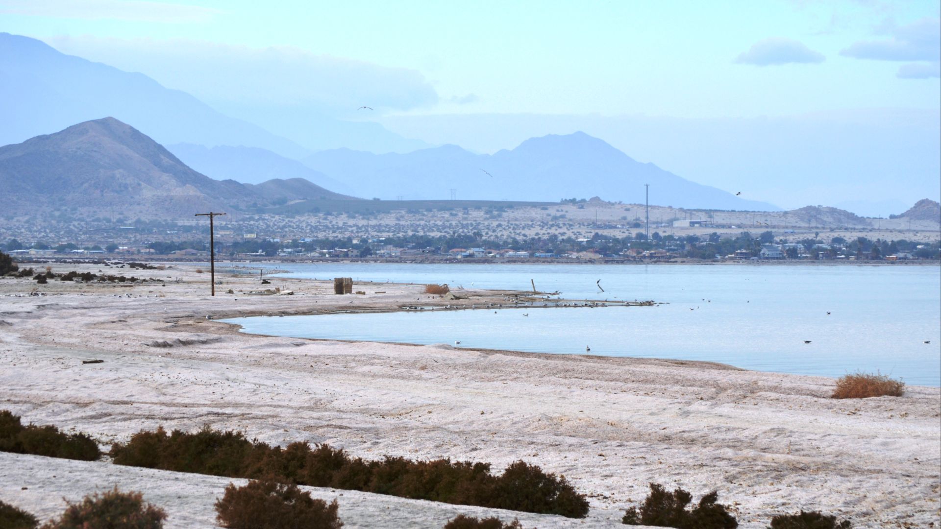 File:Salton Sea Beach (Jan 2014) 07.JPG