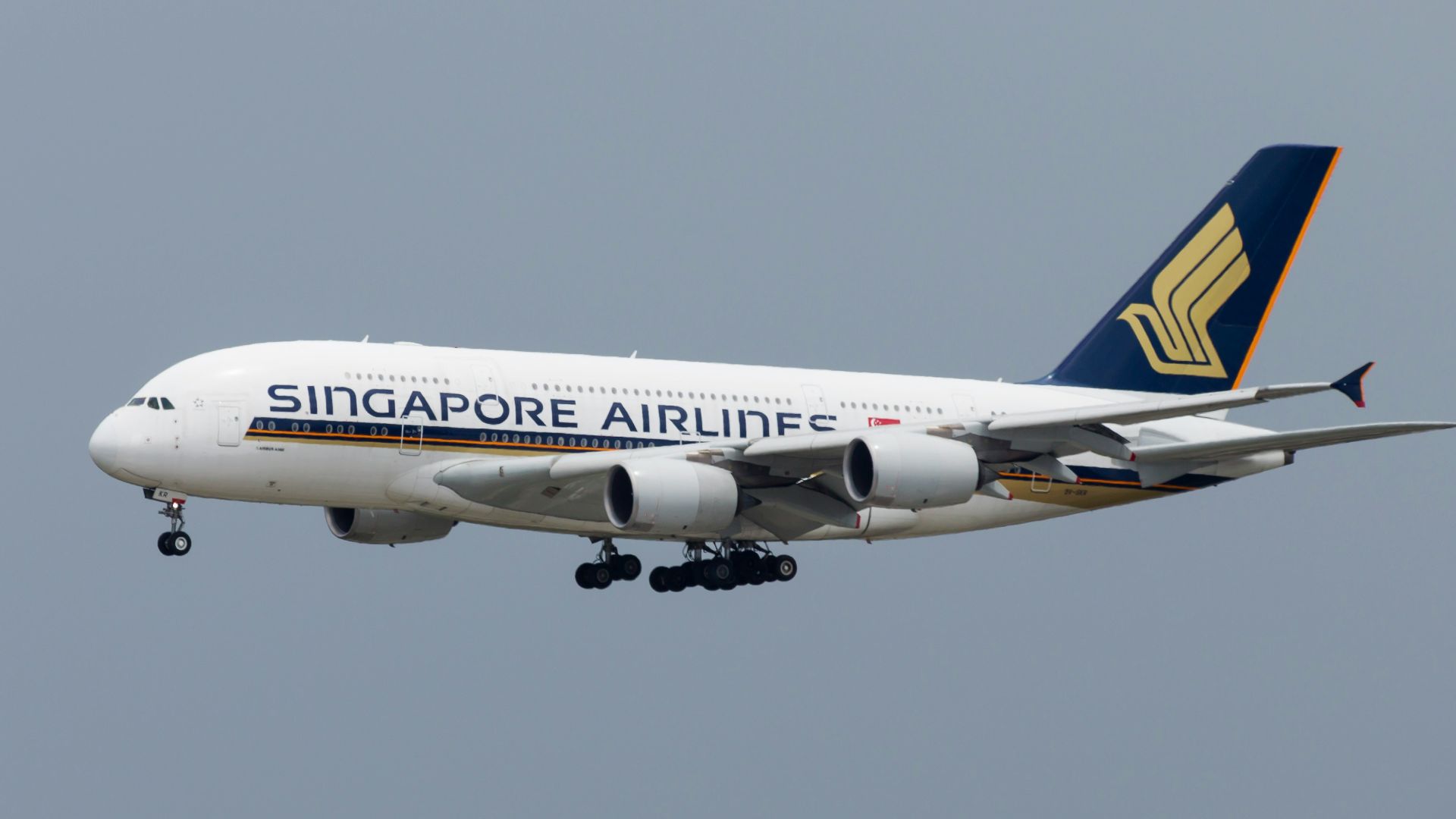 Singapore Airliner