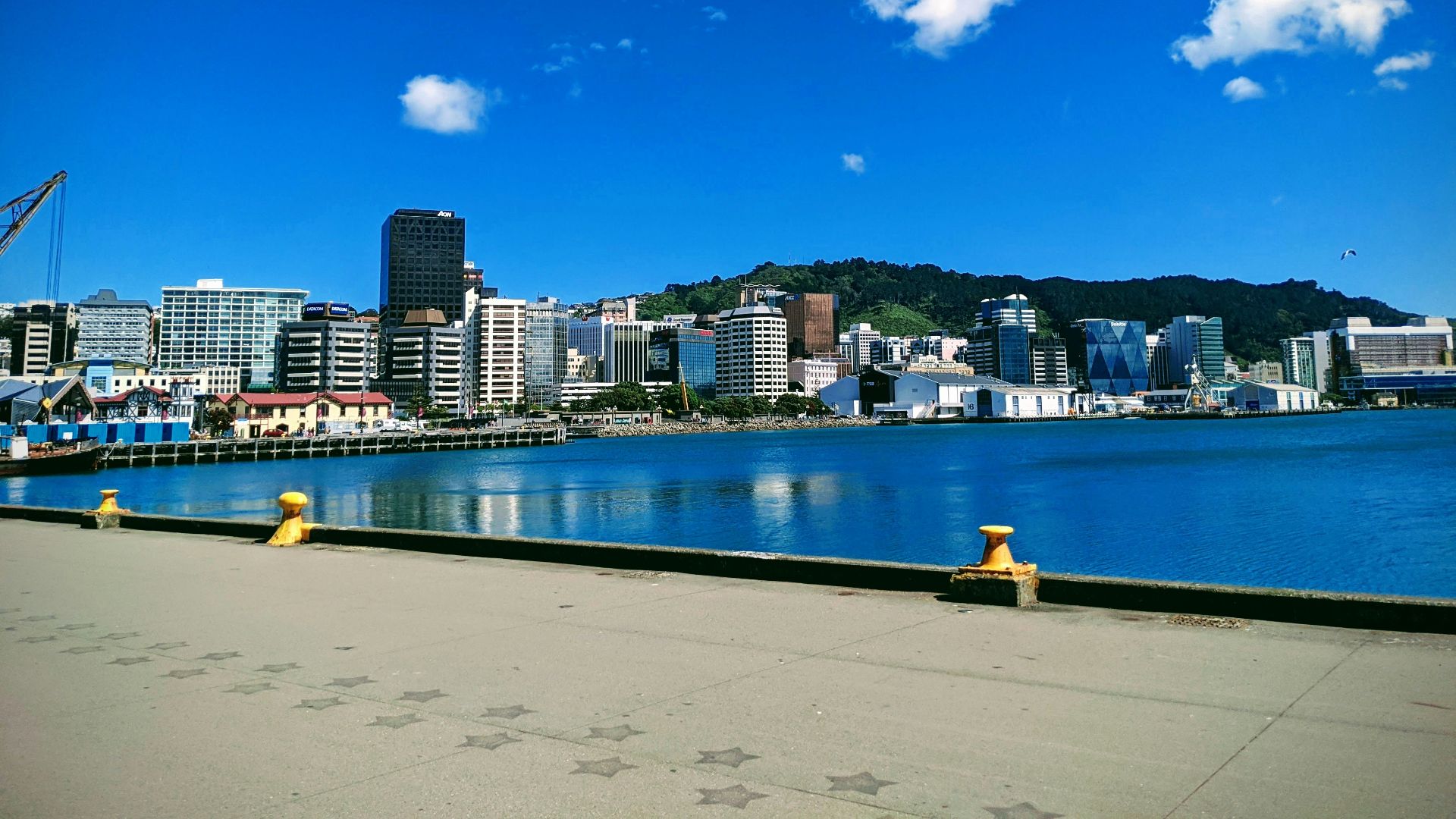 city buildings near body of water