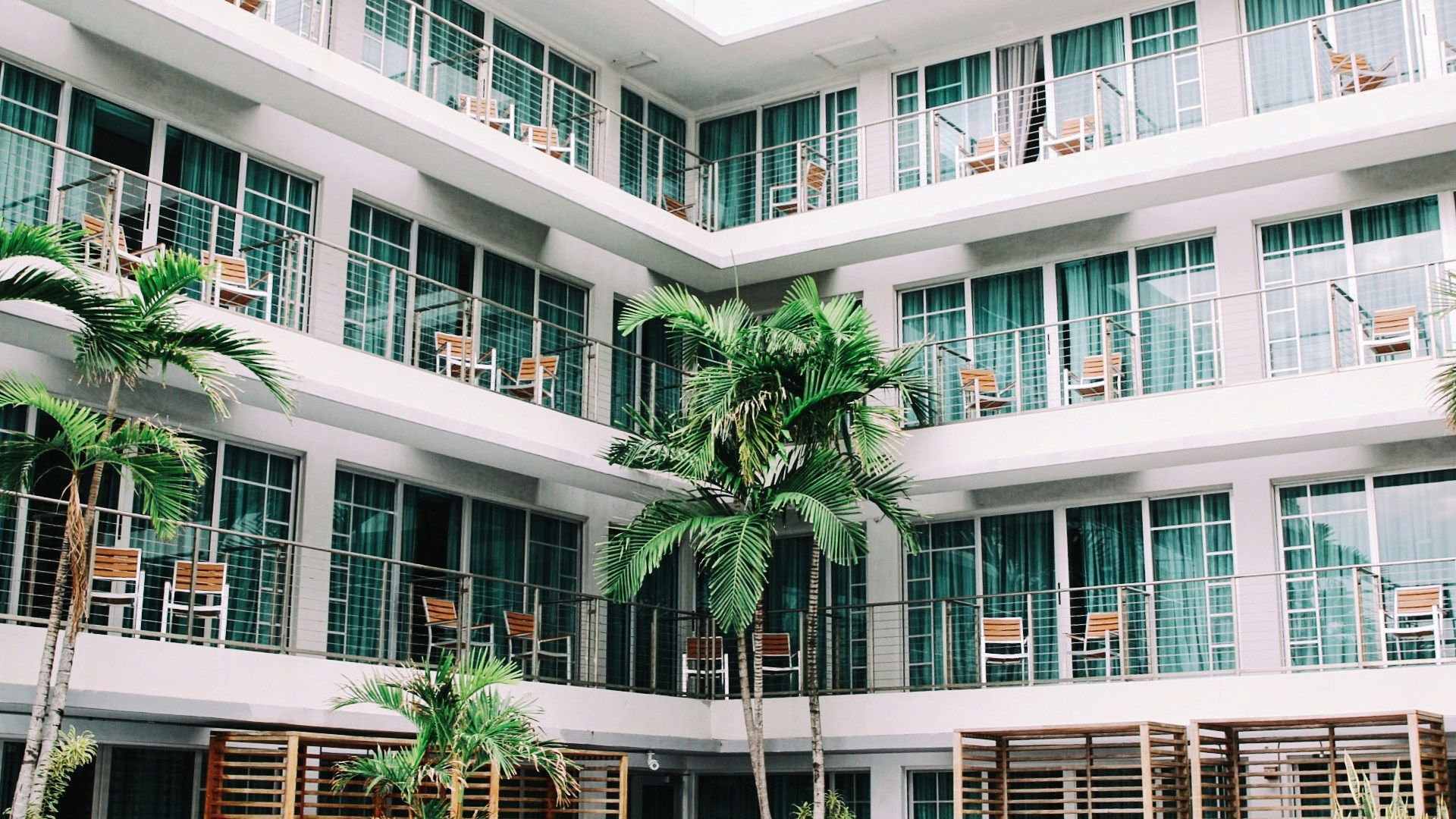 coconut palm trees in hotel lobby
