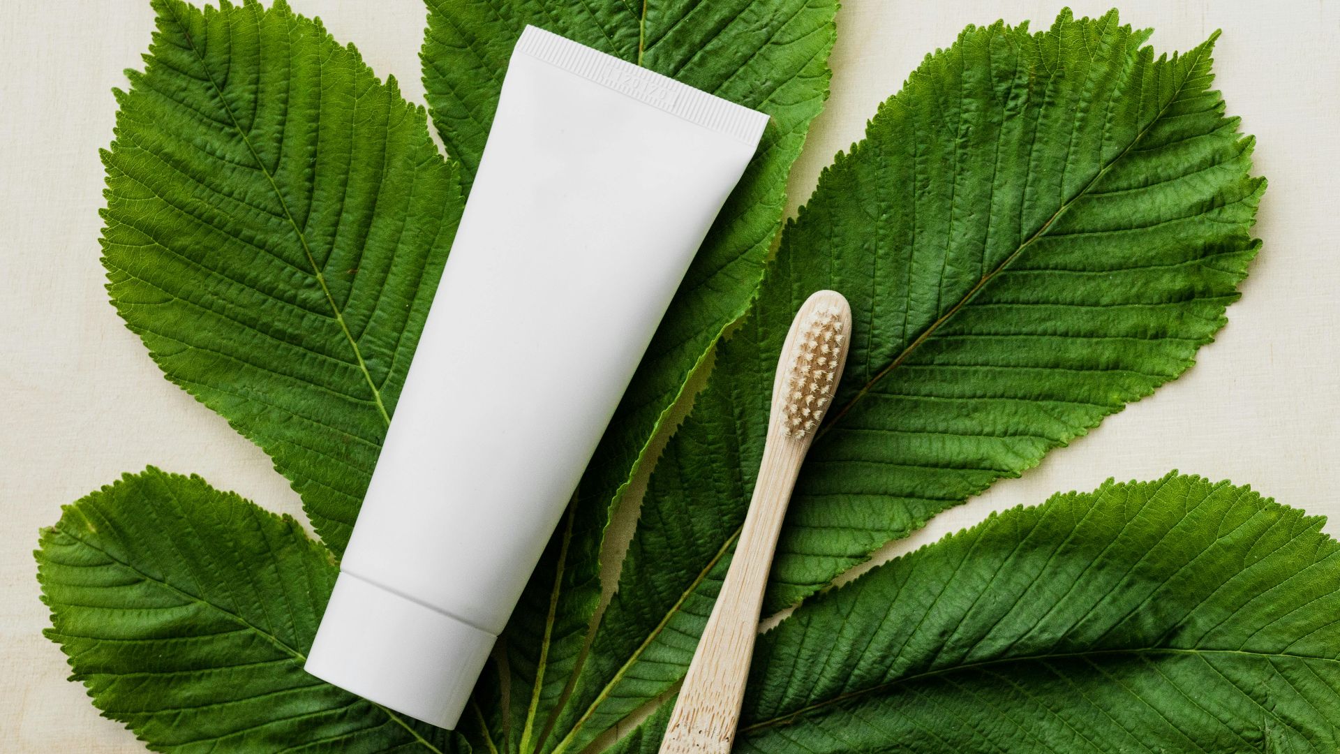 Karolina Grabowska www.kaboompics.com