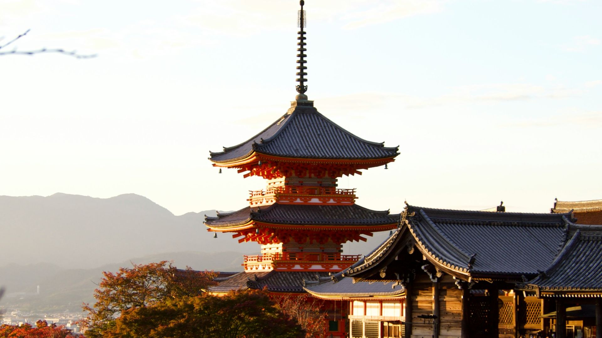 a tall building sitting on top of a lush green hillside