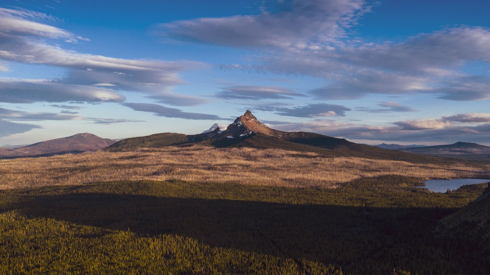 green grass field during daytime