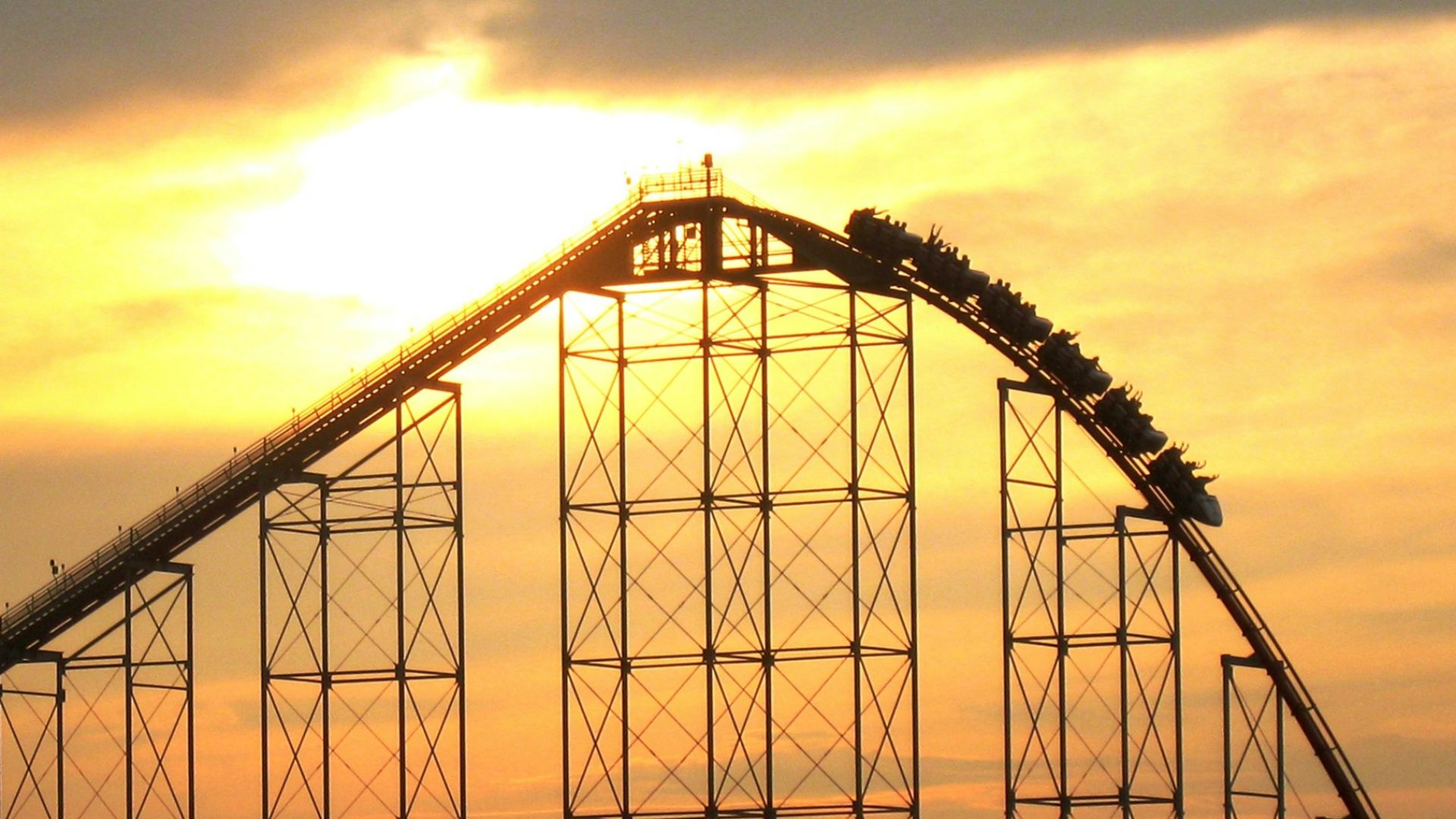 silhouette of trees during sunset
