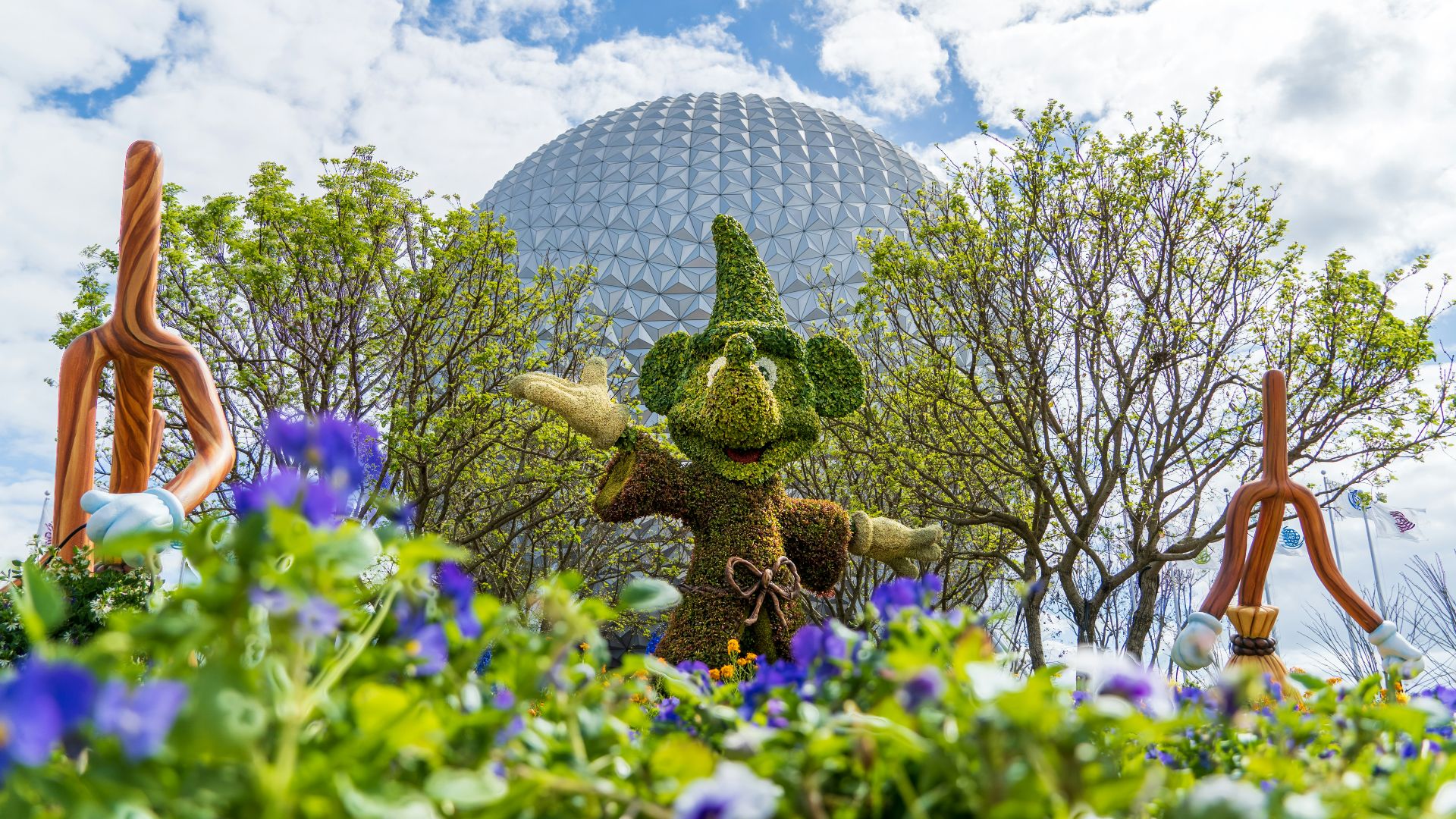 green and purple flowers under blue sky during daytime