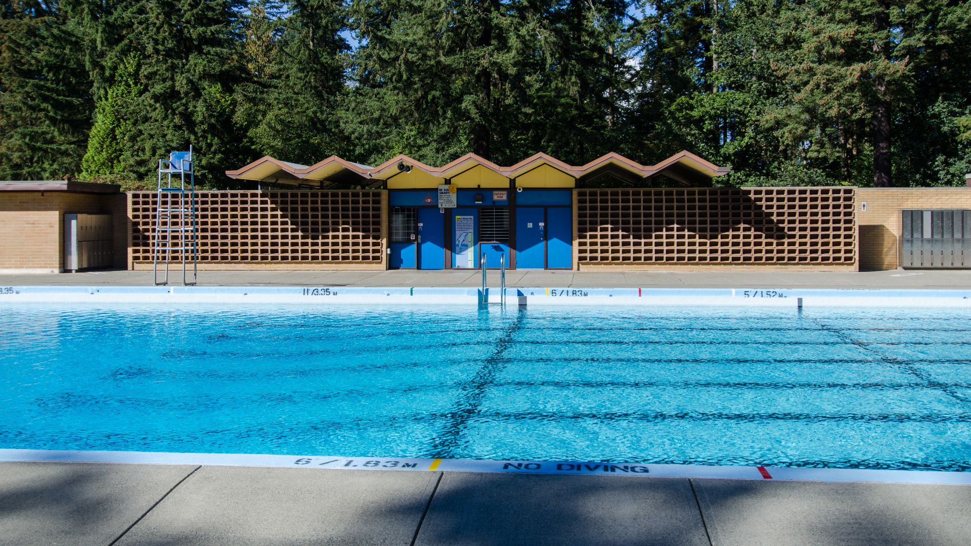 File:Central Park Pool (31664268902).jpg