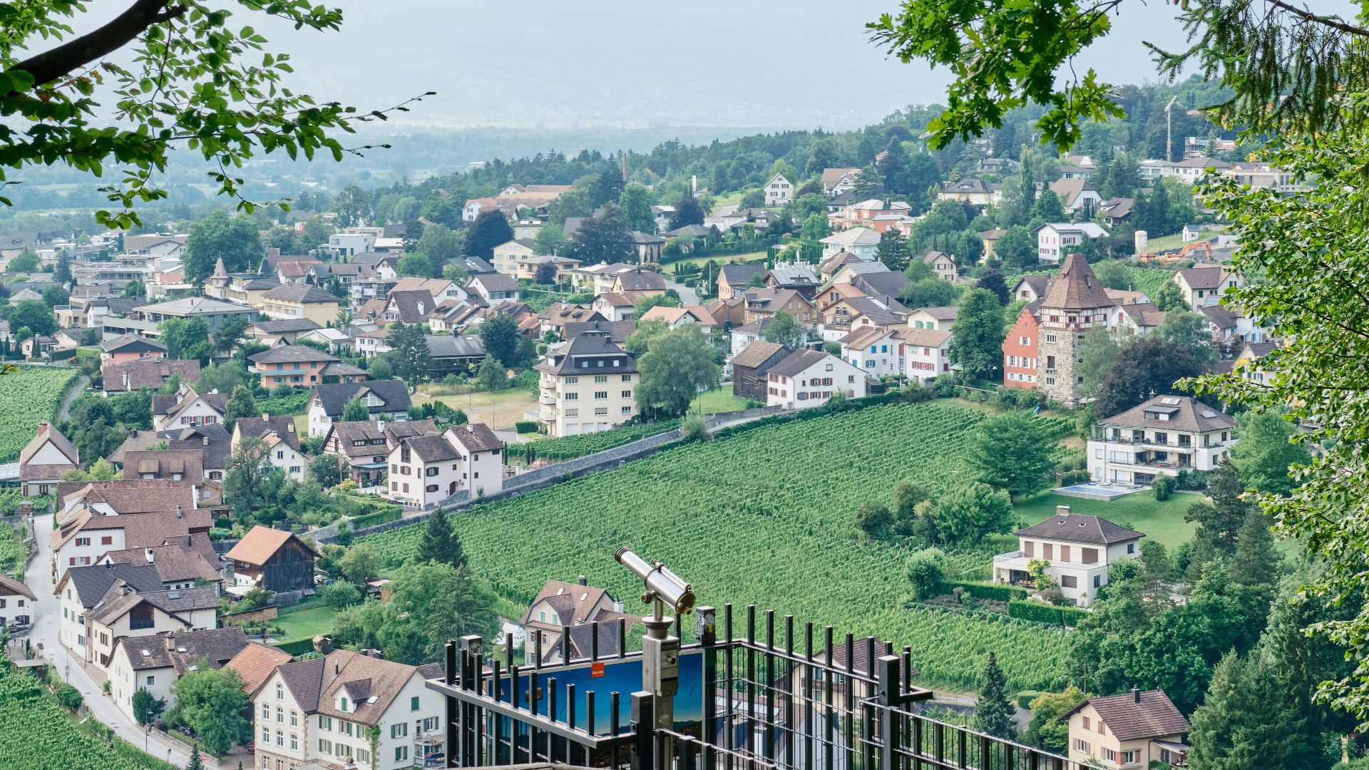a town with a fence and trees