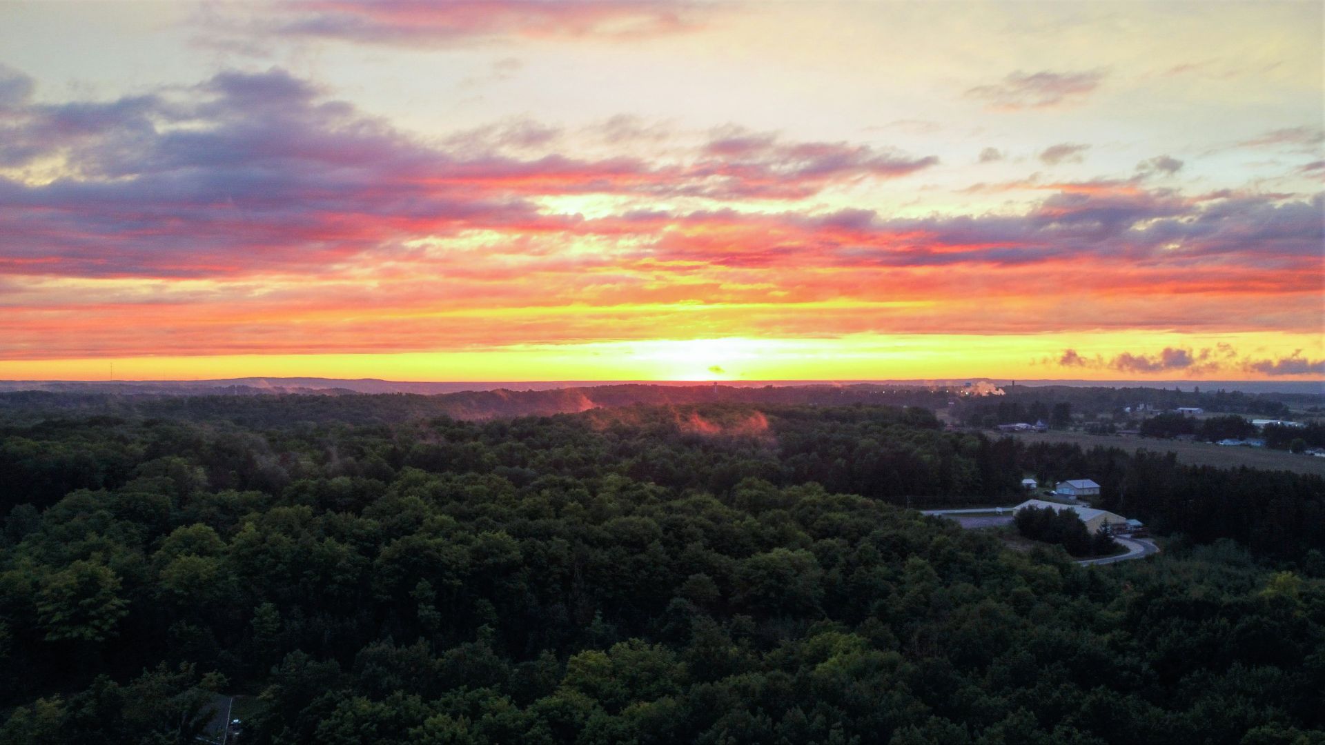 green trees on mountain during sunset