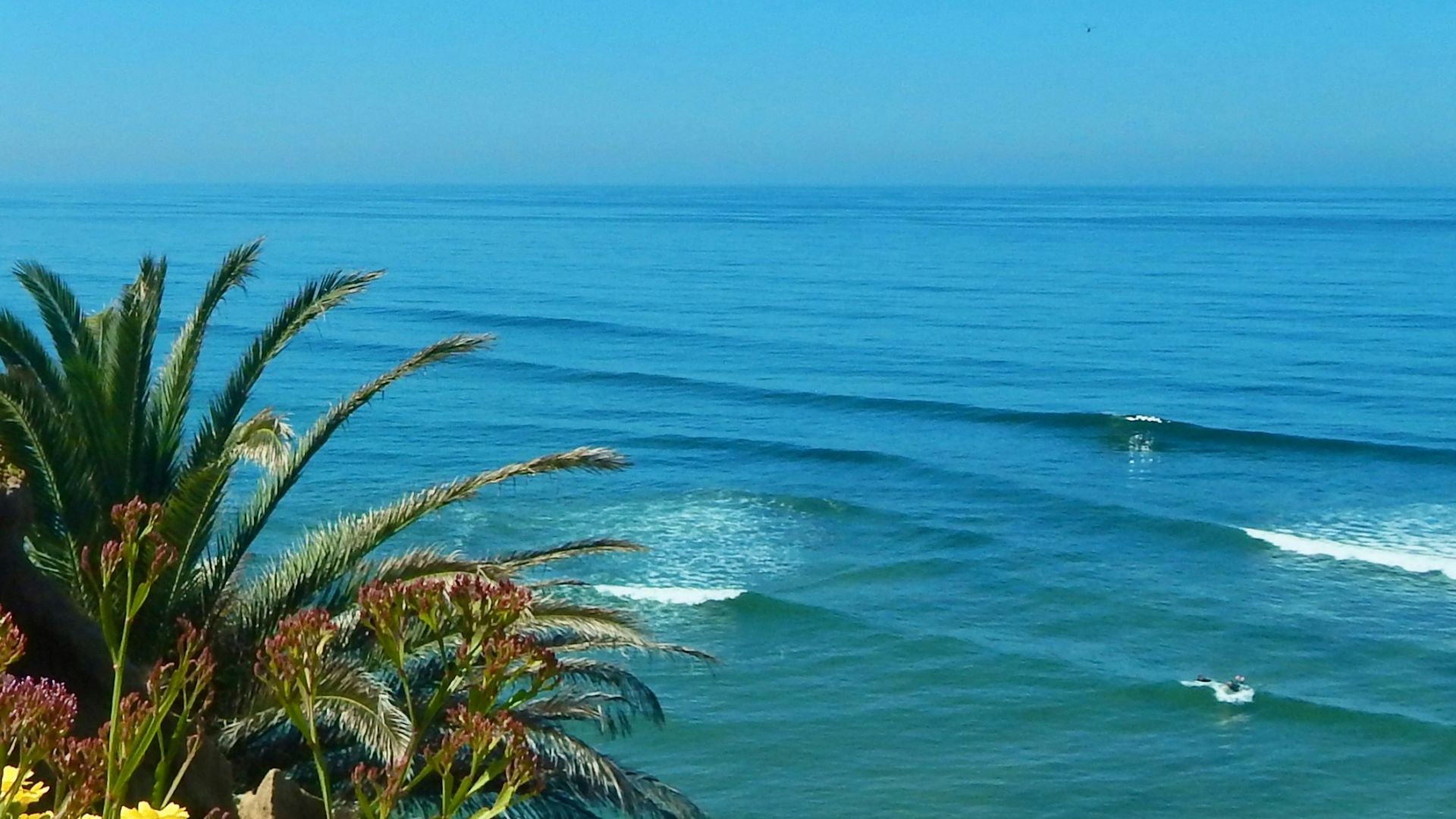 a person riding a surfboard on a wave in the ocean