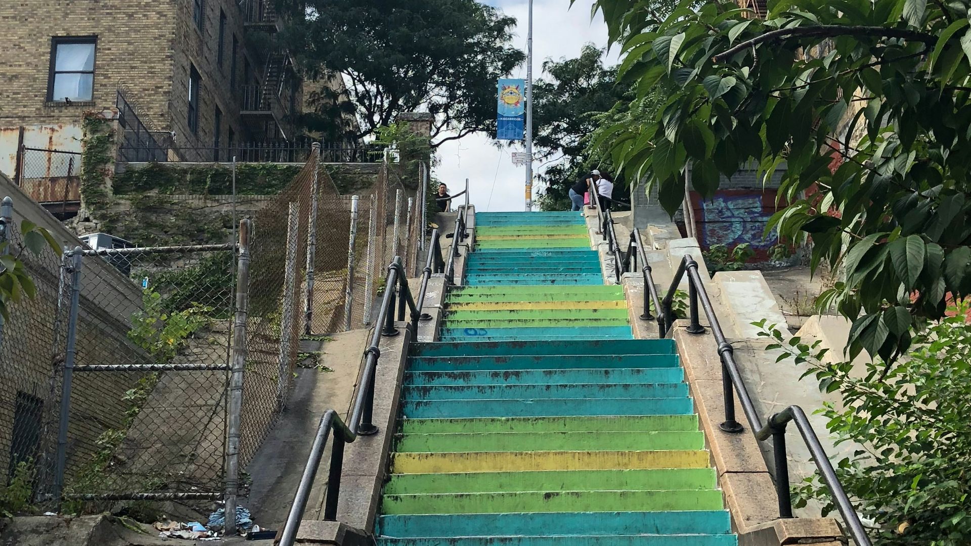 teal and green staircase near plant