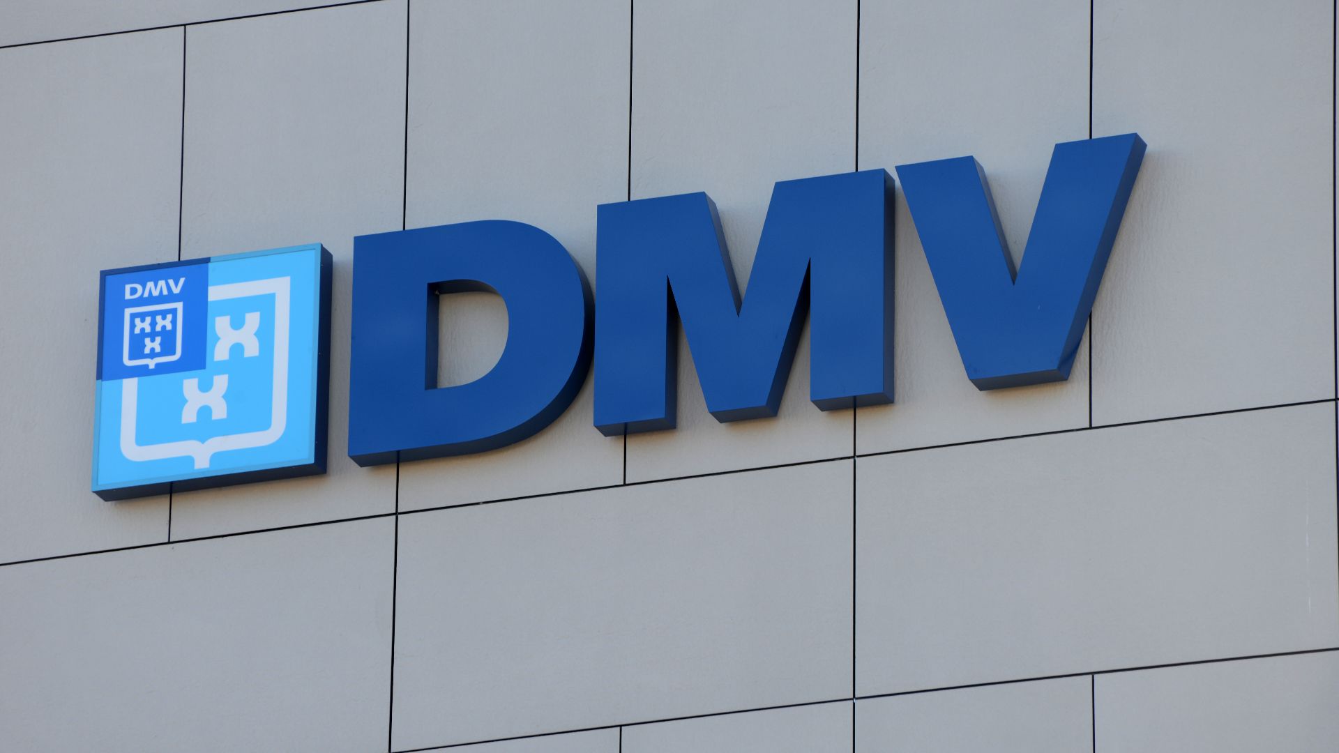 File:DMV logo, De Meijerij Veghel.jpg