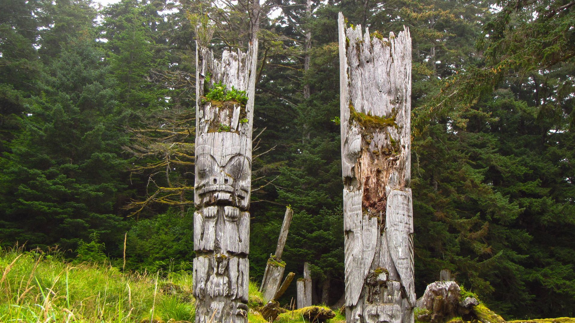 File:Totem pole ruins in Haida Gwaii.jpg