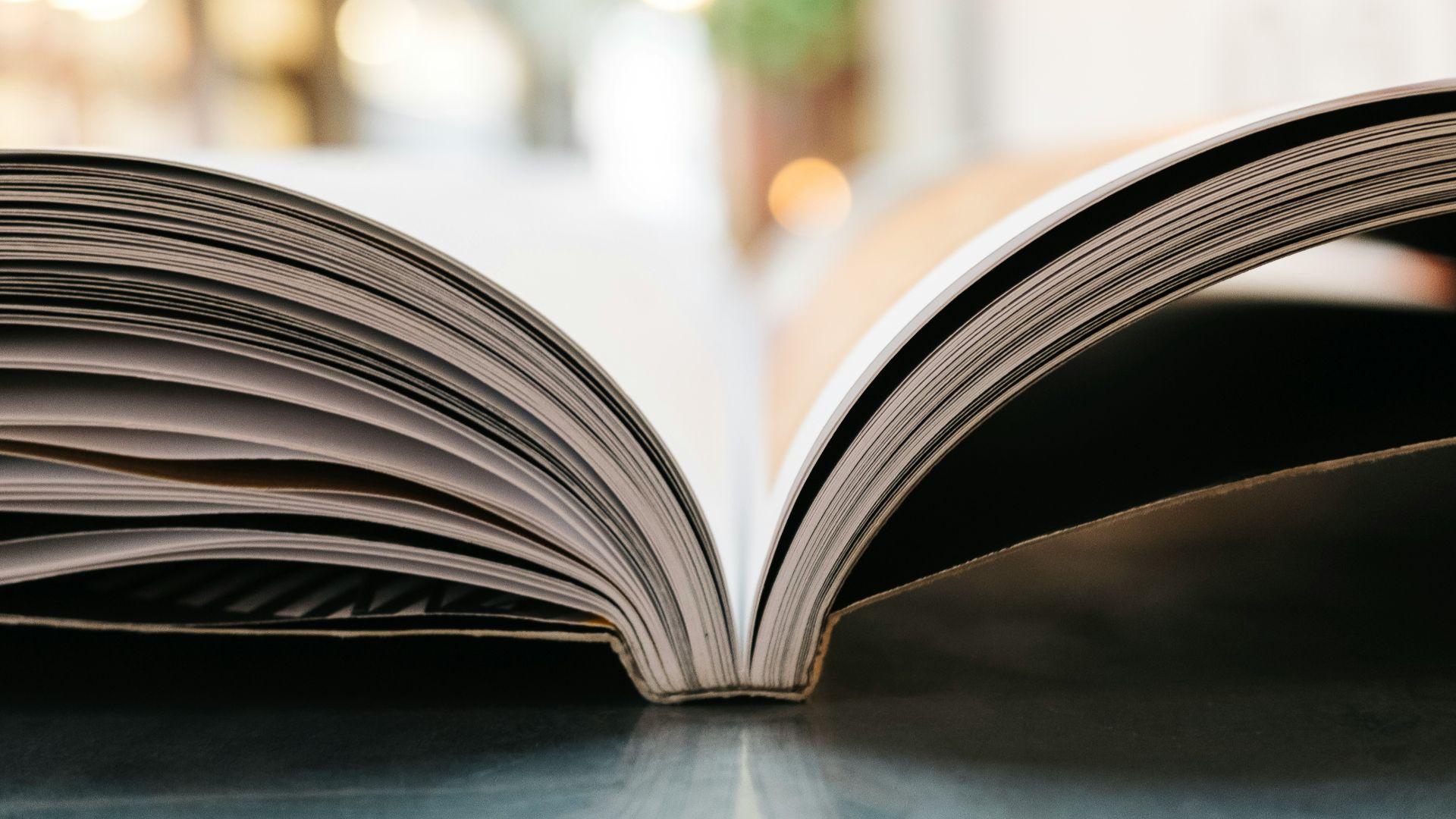 bokeh photography of open book