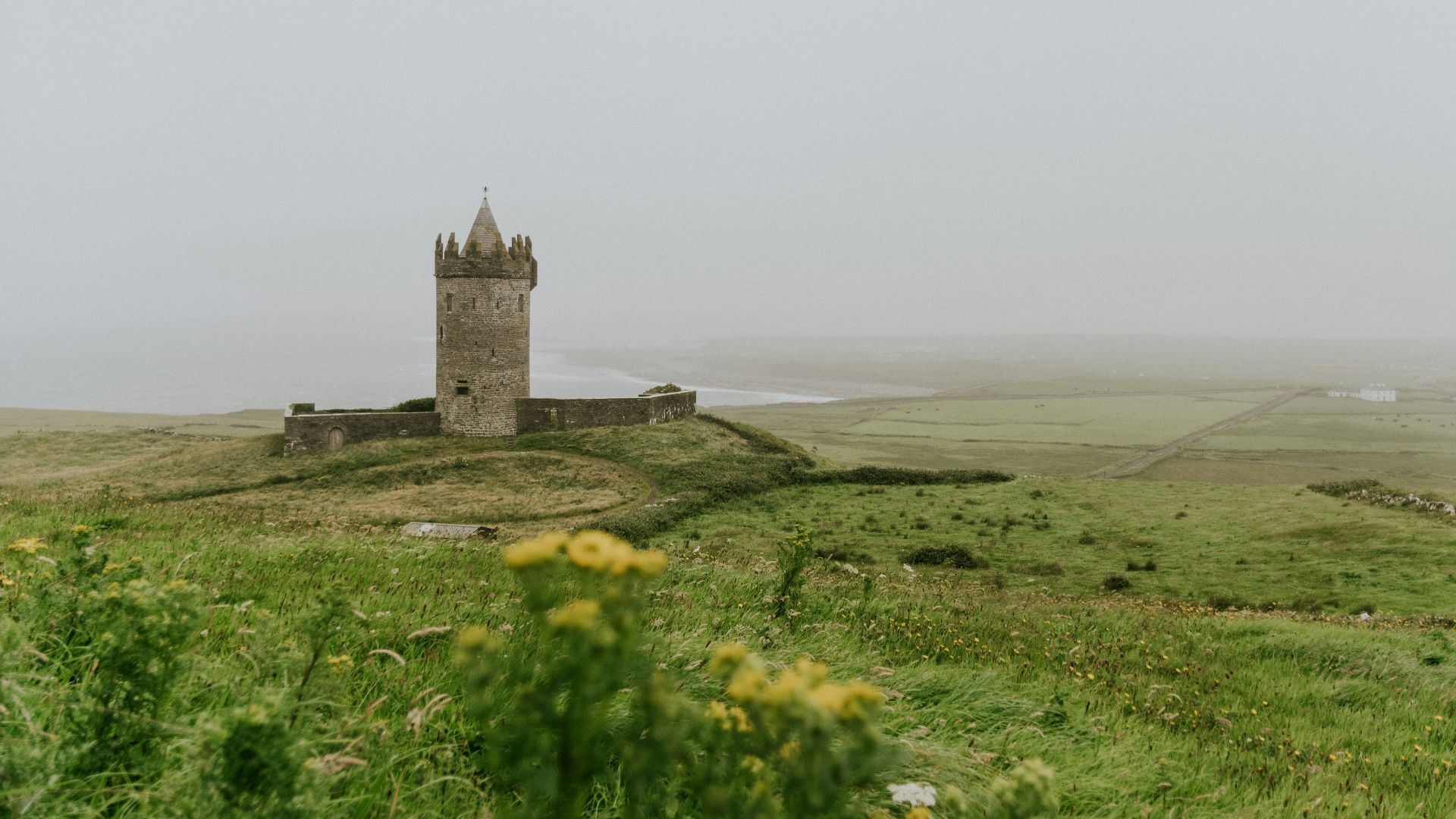 gray concrete structure surrounded by green trees